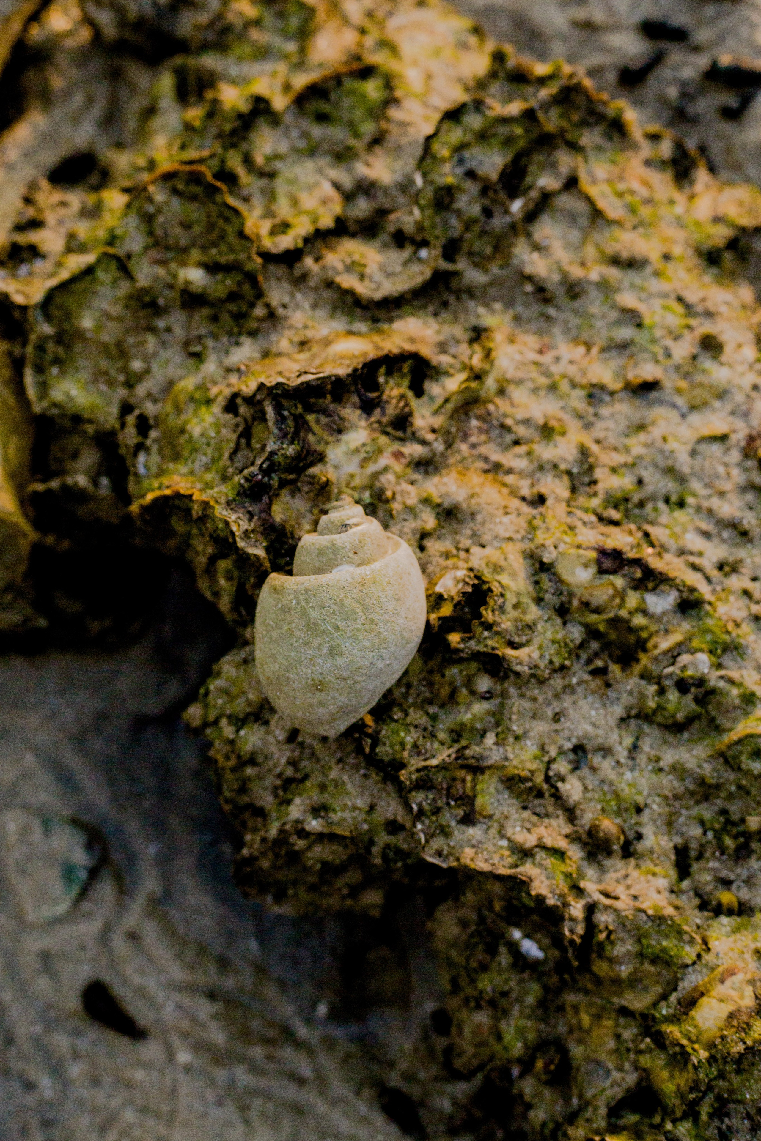 Thailand 2023, Samui. Art Photographer