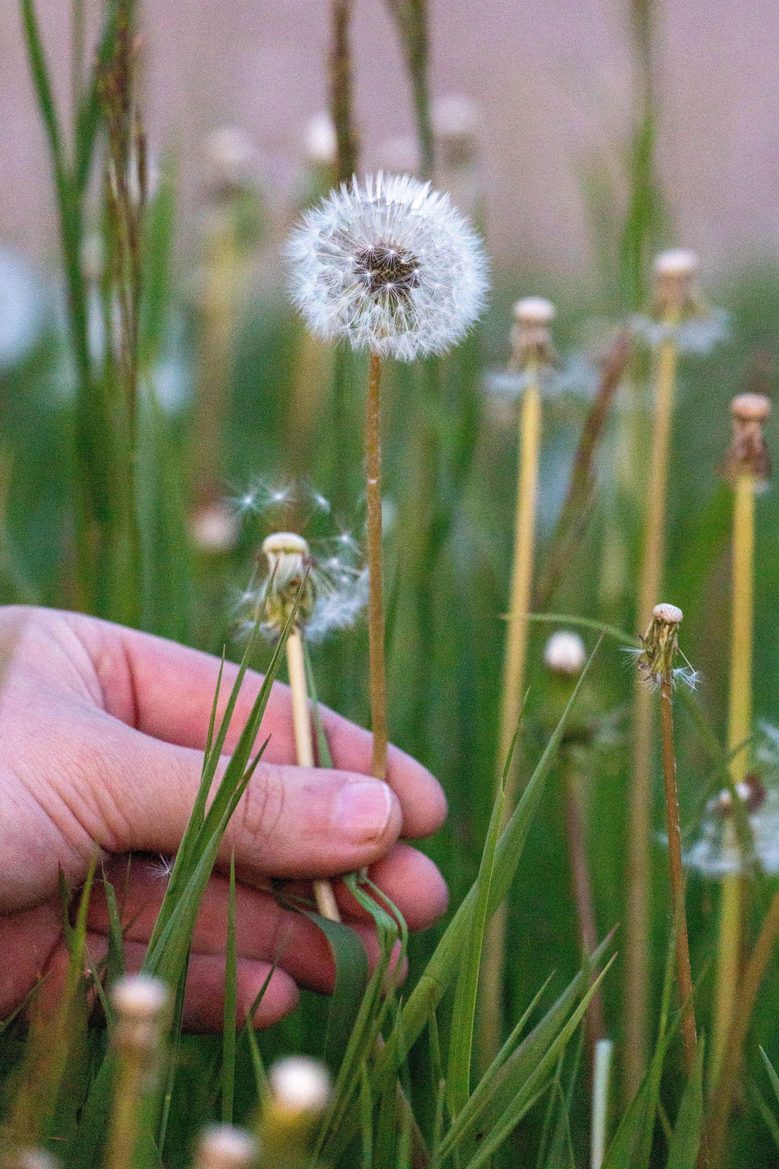 Илья&Ангелина. Репортажный фотограф в Иркутске — Ярослав Ковалёв