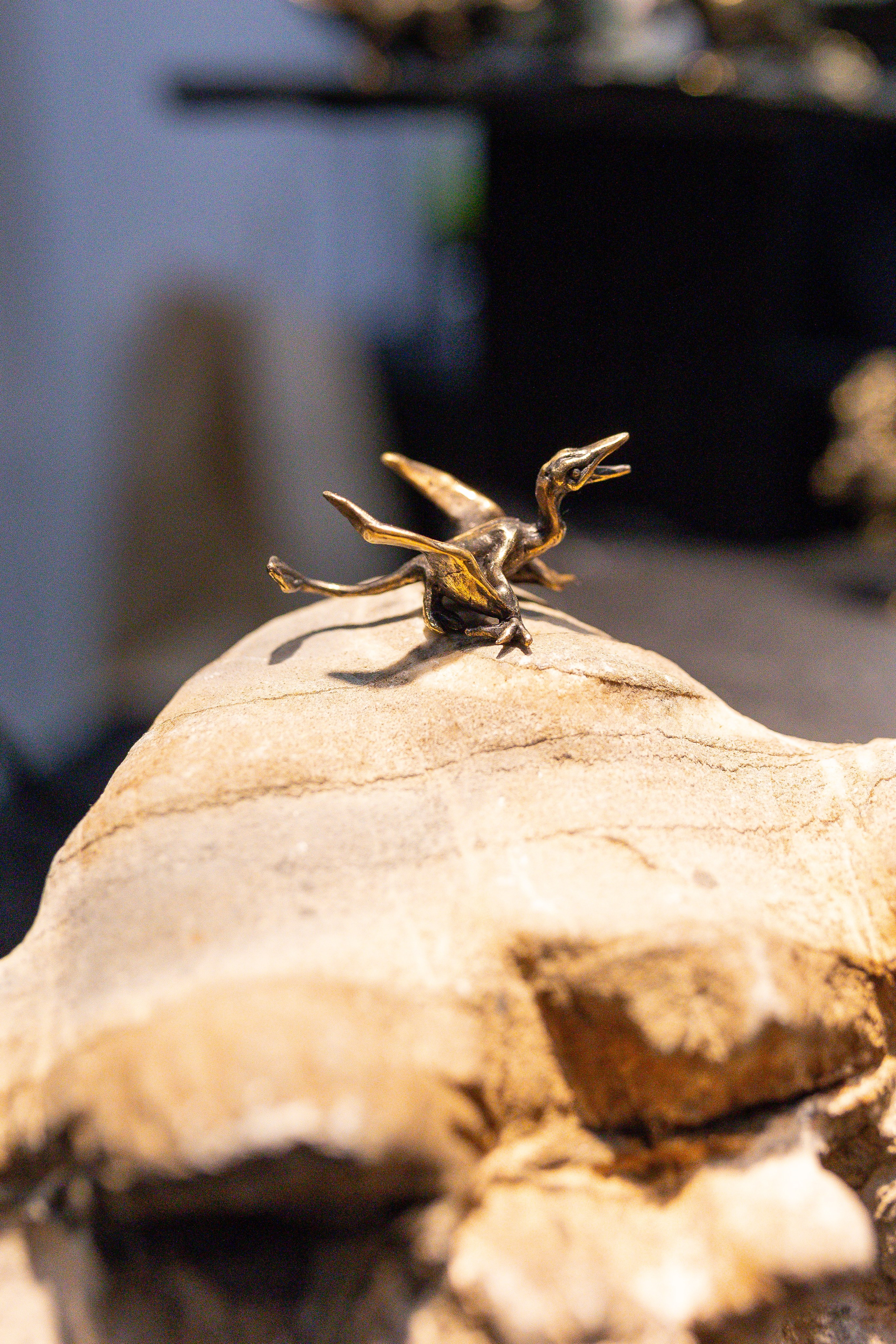 Монстериум 11–12 октября. Александра Куликова фотограф, Москва