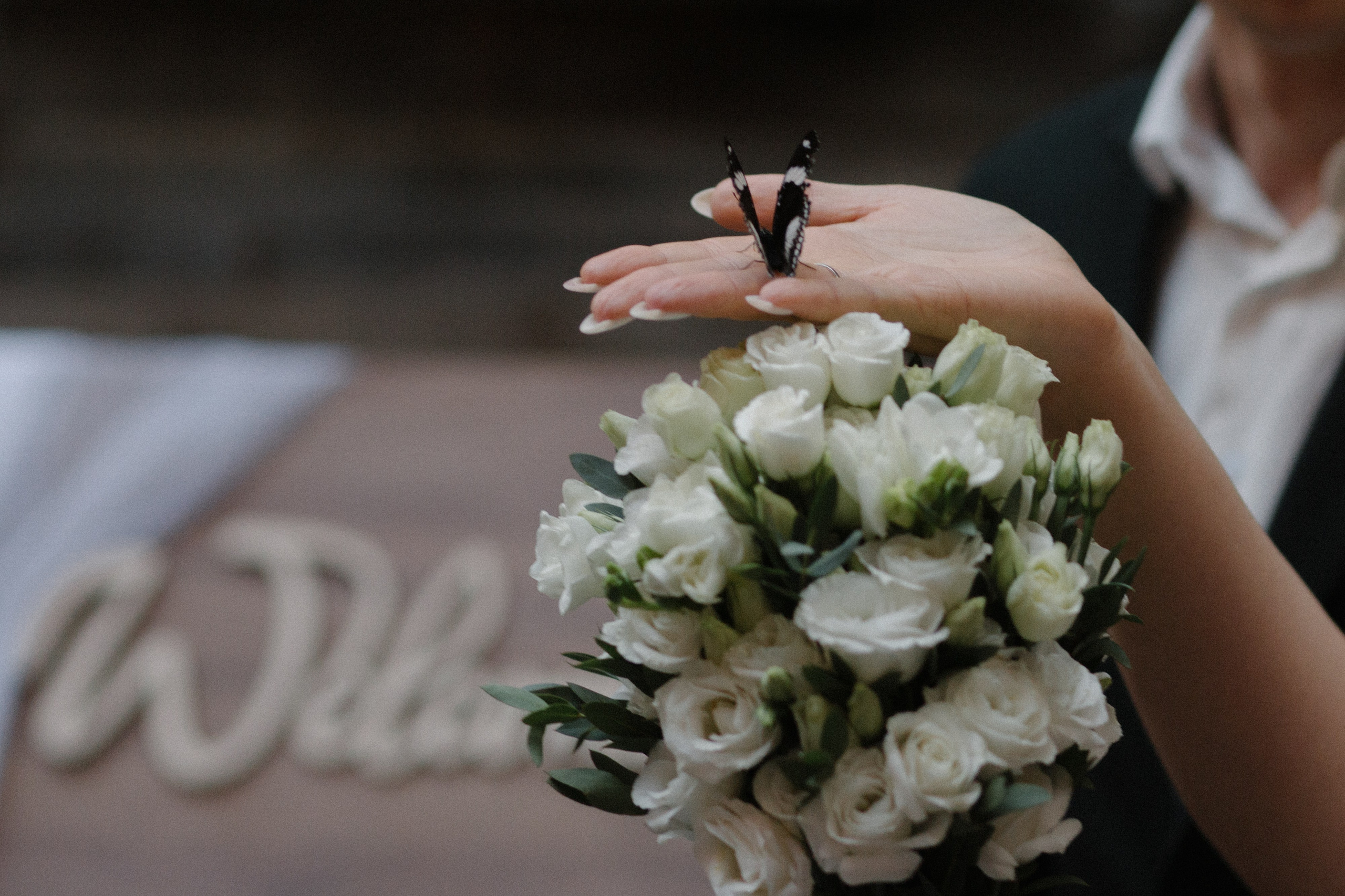 Крылья бабочки. Фотограф Диана Хасанова, г. Казань