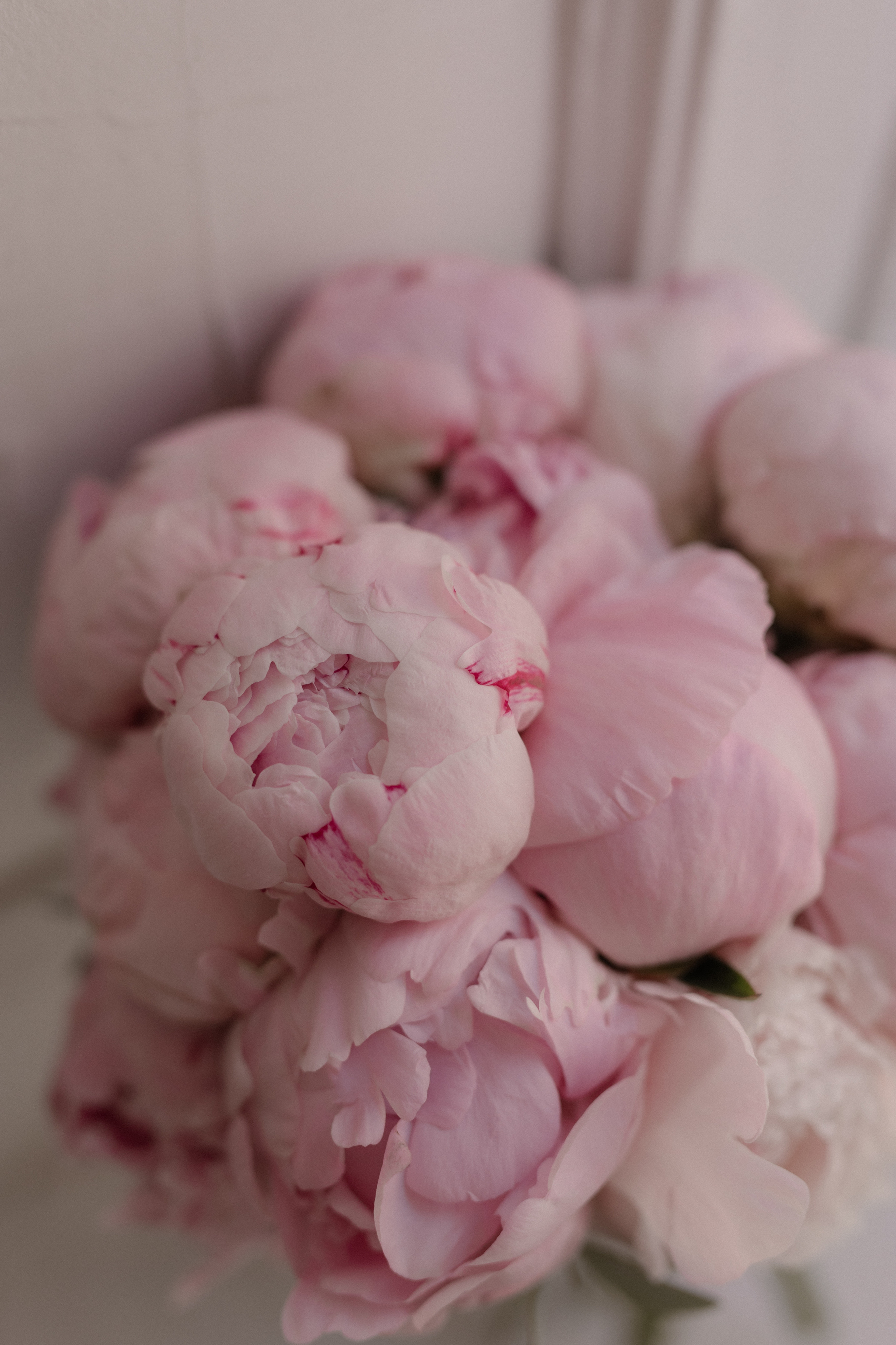 E & A. Свадебный и семейный фотограф в Астрахани Сергунова Наталья