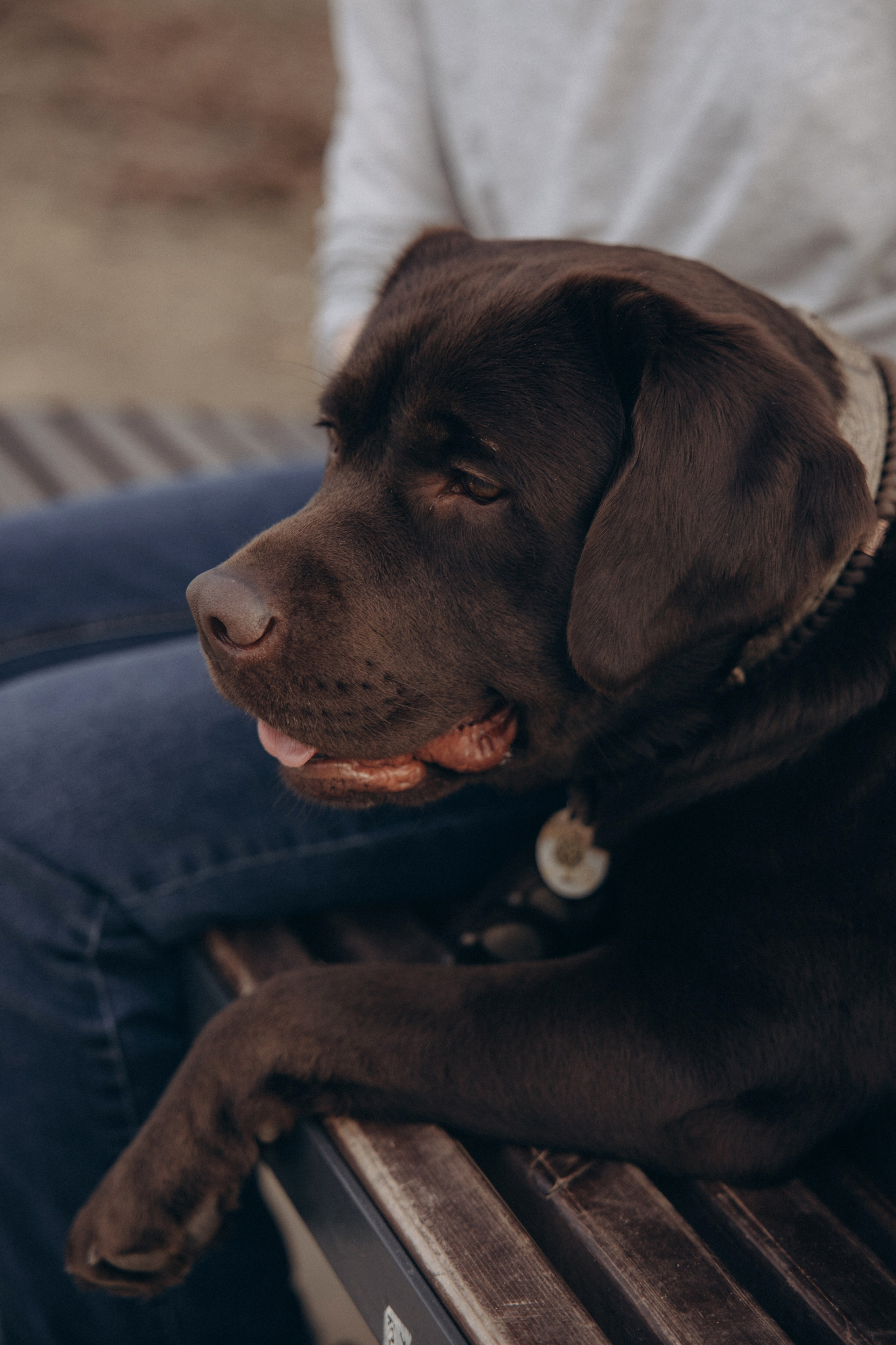 Наталия и Пальма в парке. Фотограф анималист в Казани Алина Сулейманова. Фотограф животных
