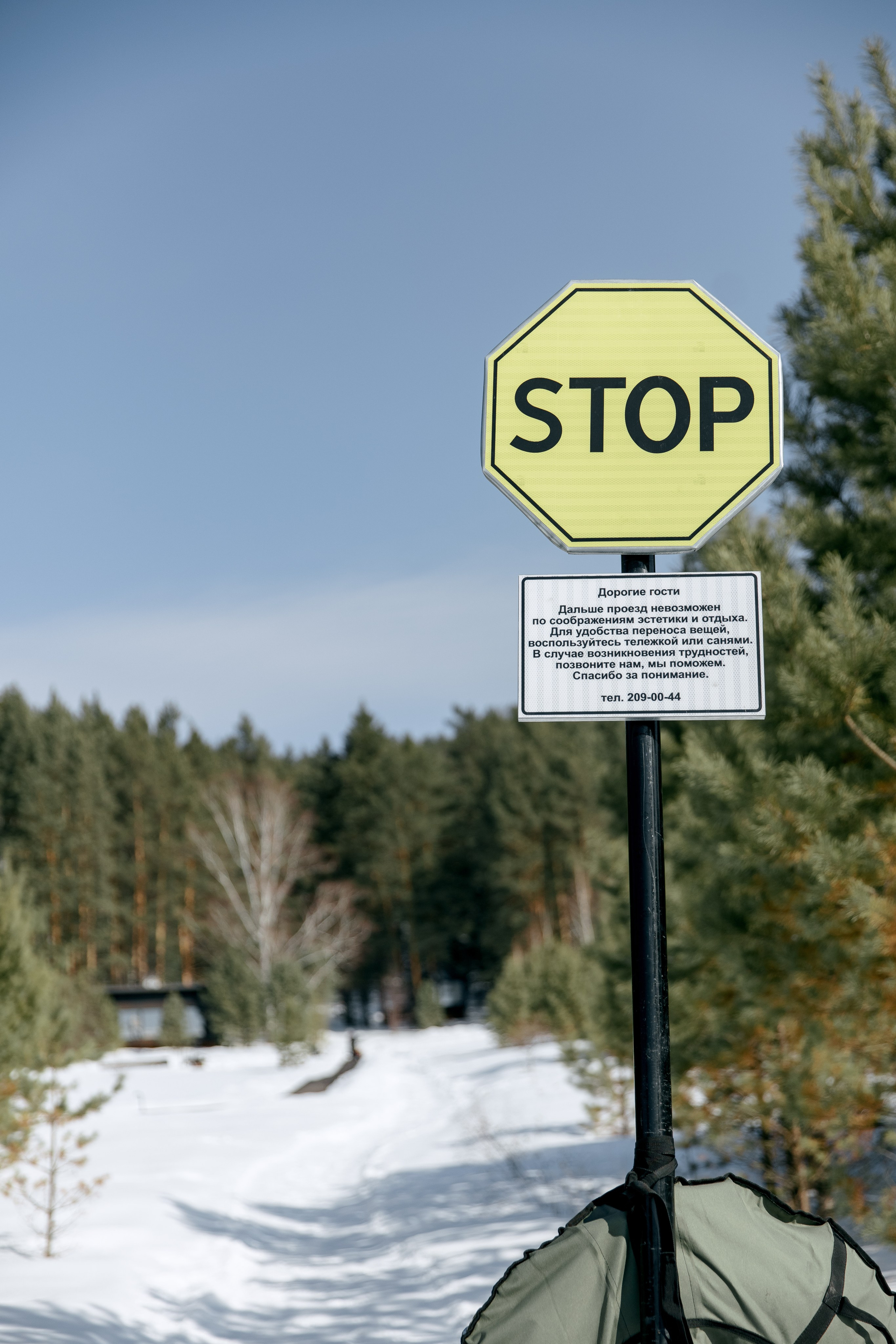 ДЕНЬ ДОЖДЕНИЯ ЕКАТЕРИНЫ. Фотограф в Красноярске