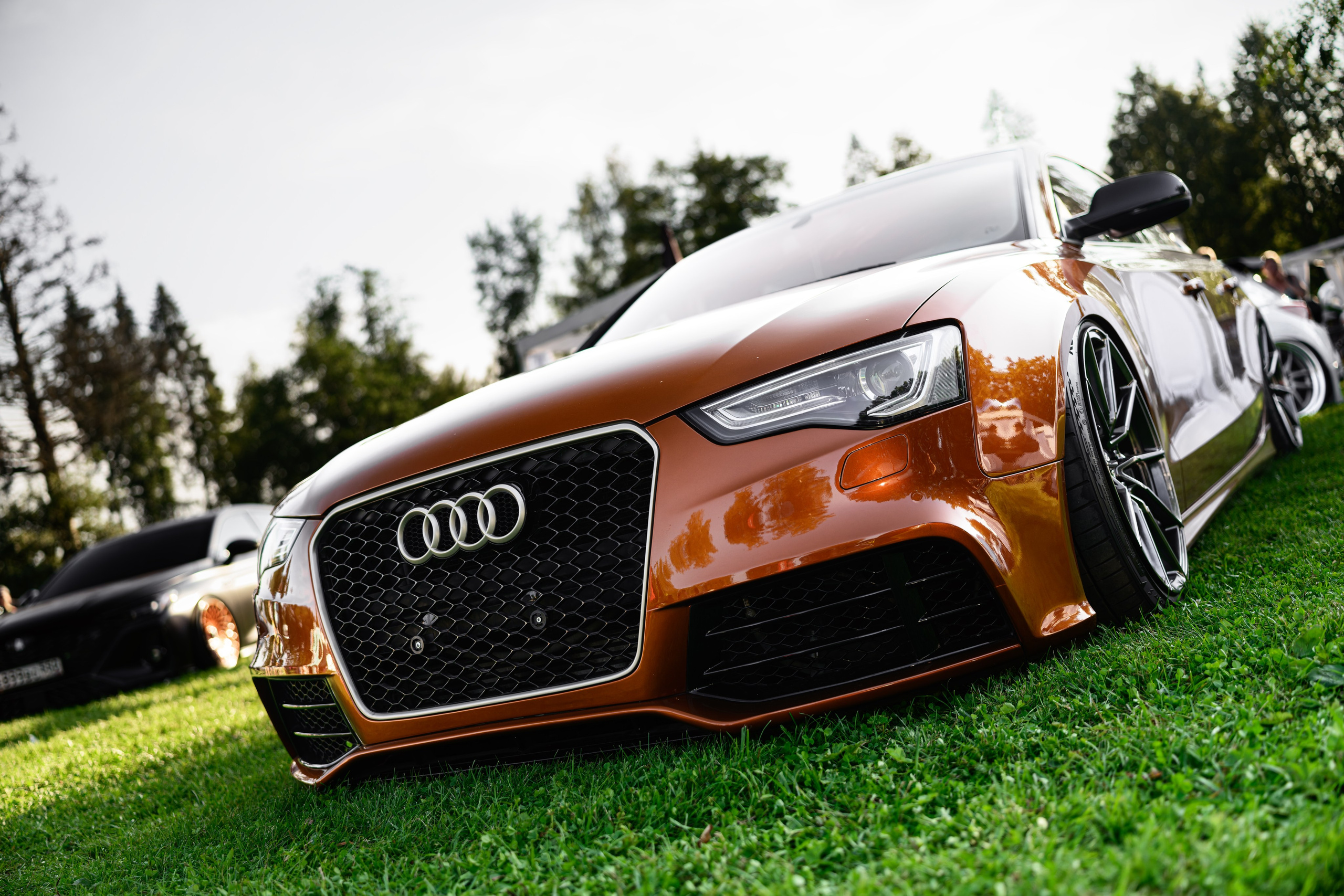 Tuning Open Fest 2025. Авто и мотоспорт — фотограф Антон Медведев iCoguar