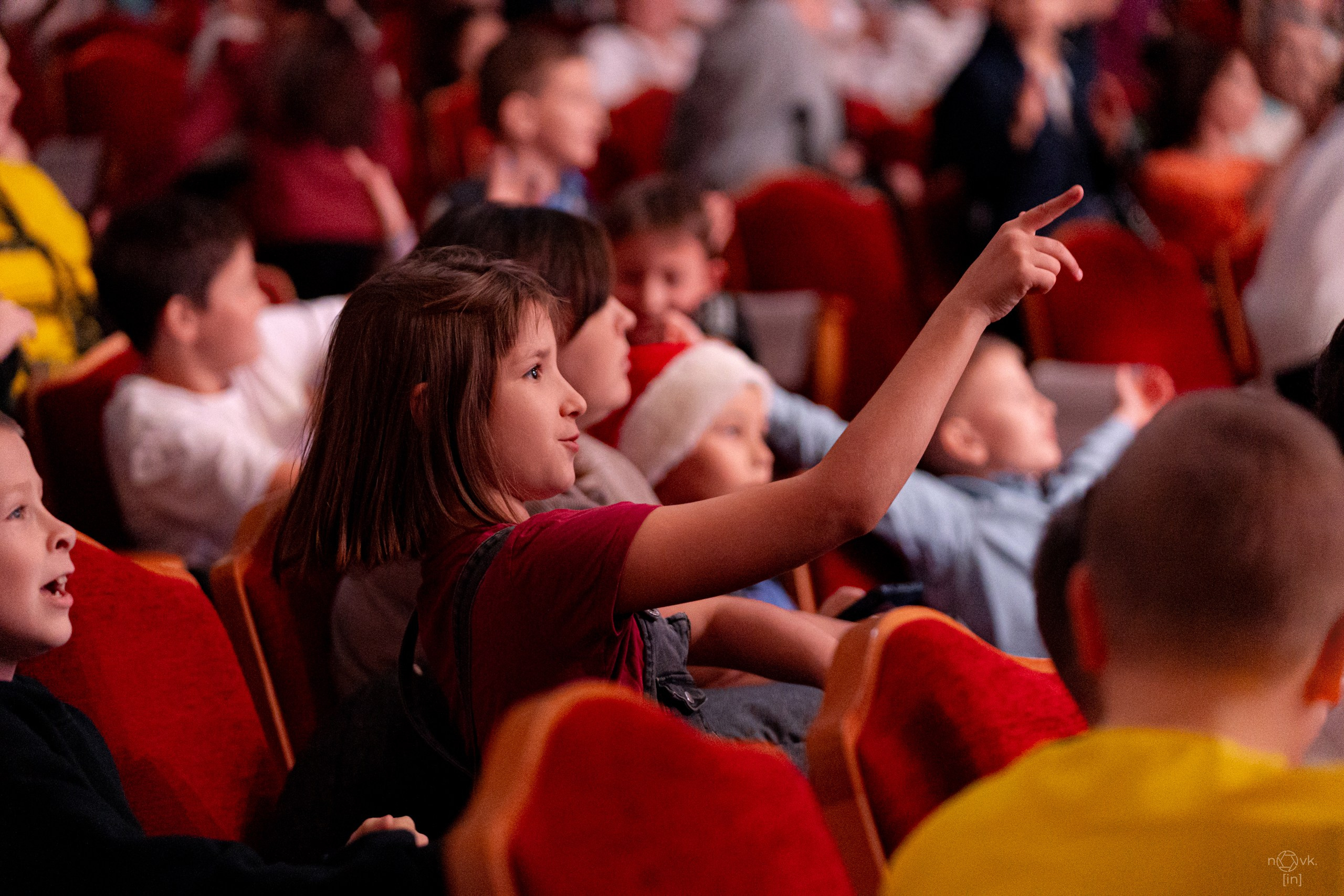 Ёлка. ФОТОГРАФ ИВАН НОВИКОВ | СТАВРОПОЛЬ