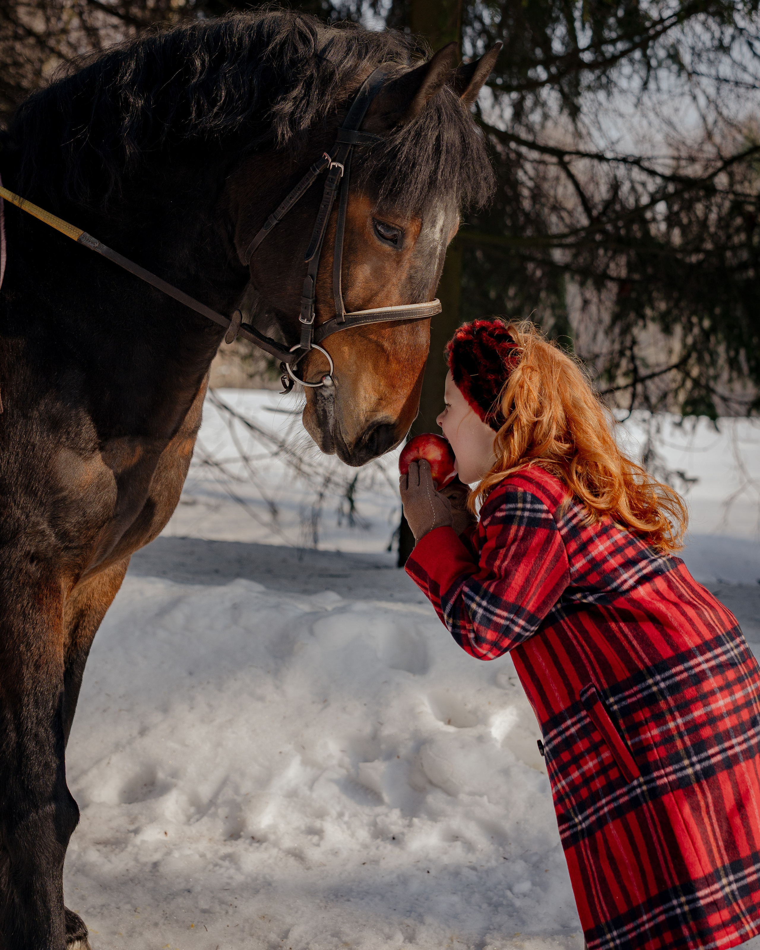 Karolina-съемка для диплома на курсе Ирины Заргано. Портретный и семейный фотограф в Москве/Видное