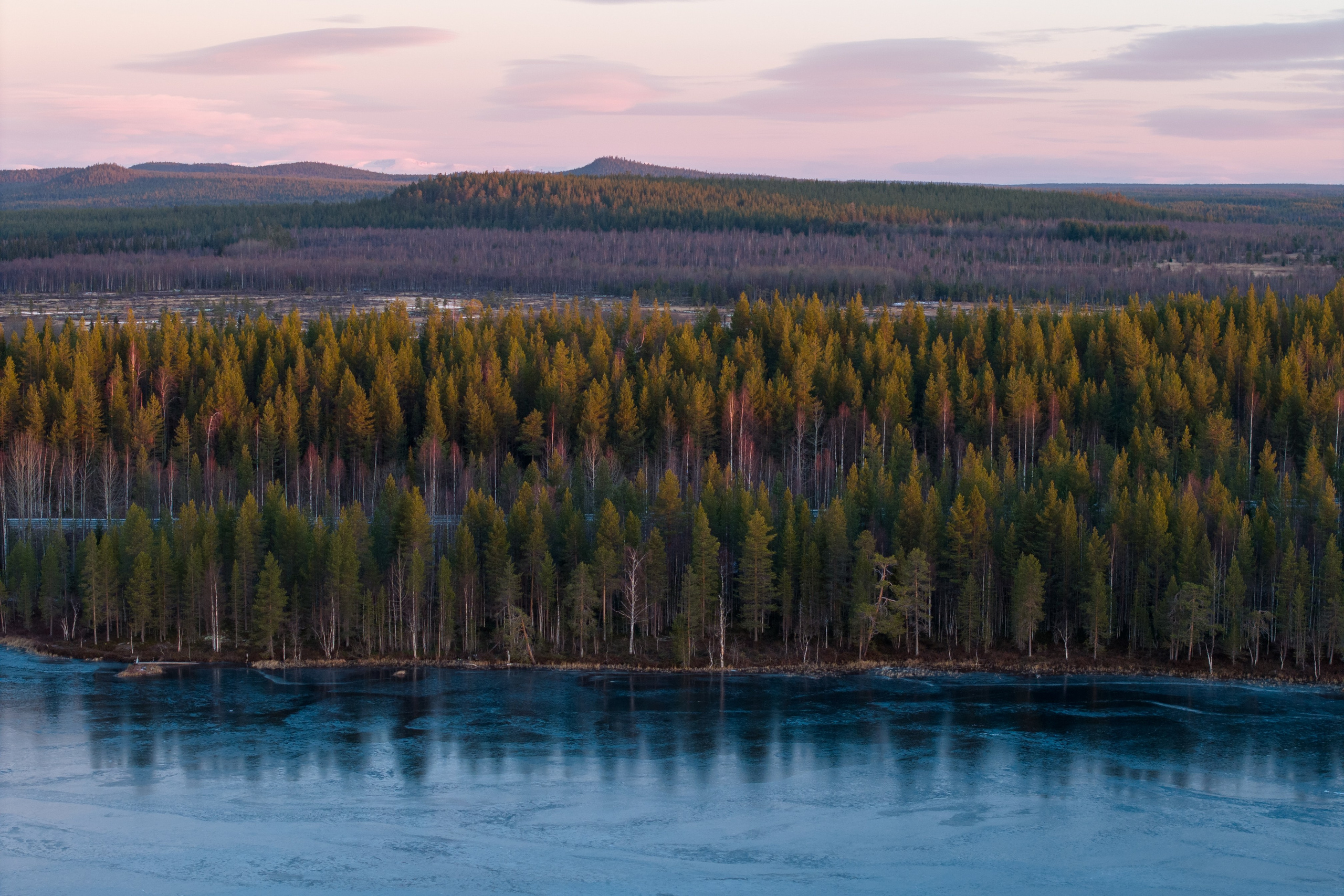 Портфолио. Daria wanderer photography