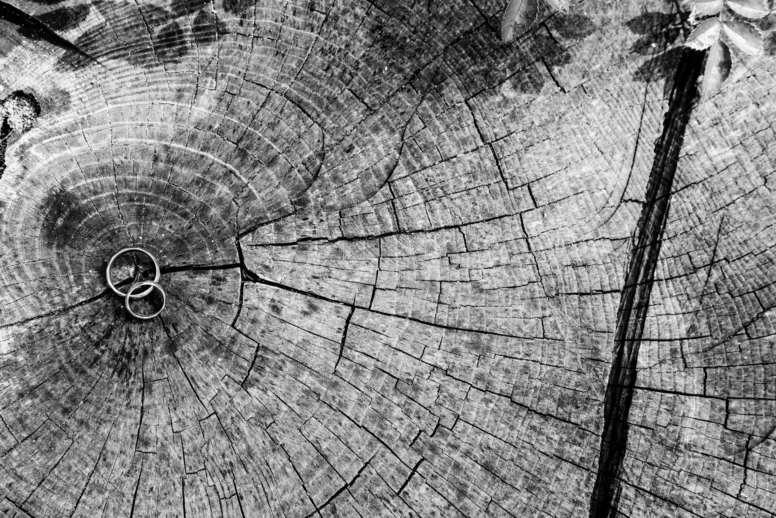 Свадебная съёмка. Портретный, семейный, свадебный фотограф в Воронеже Евгений Михайличенко