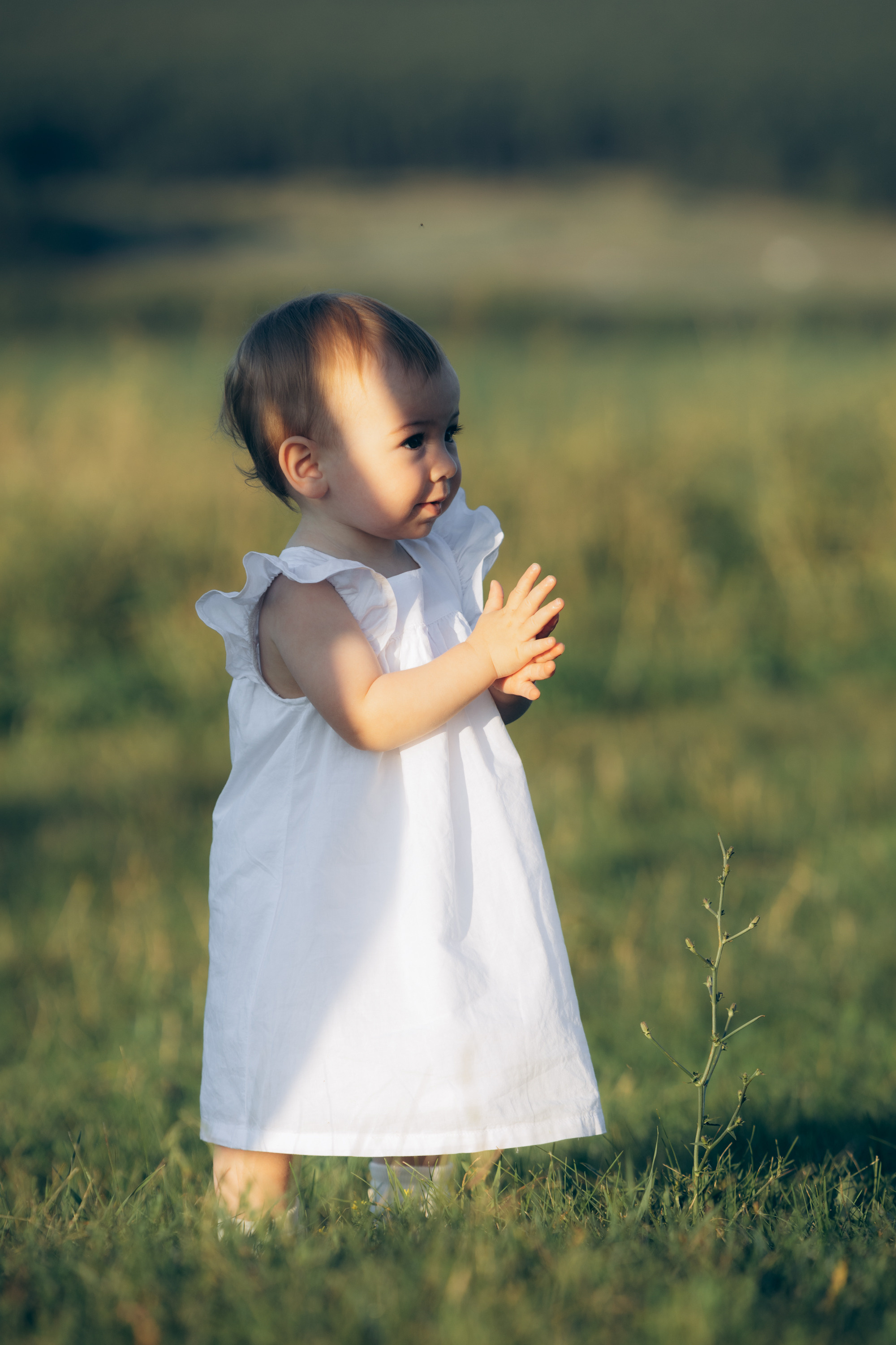 Саша & Настя & Варя. Портретный, семейный, свадебный фотограф в Воронеже Евгений Михайличенко