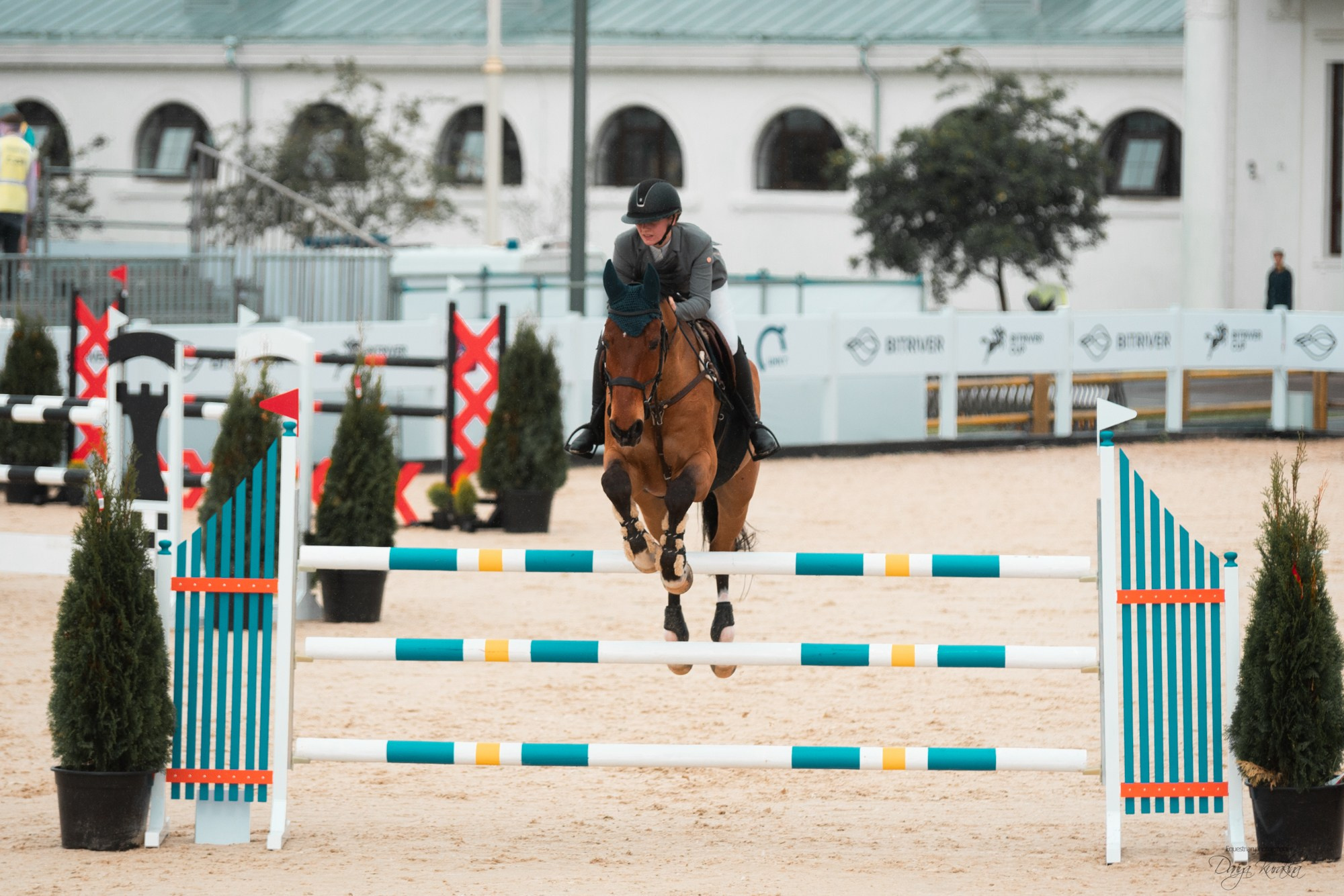 BITRIVER CUP 2023. Конный фотограф Куракина Дарья • Фотосессии с лошадьми