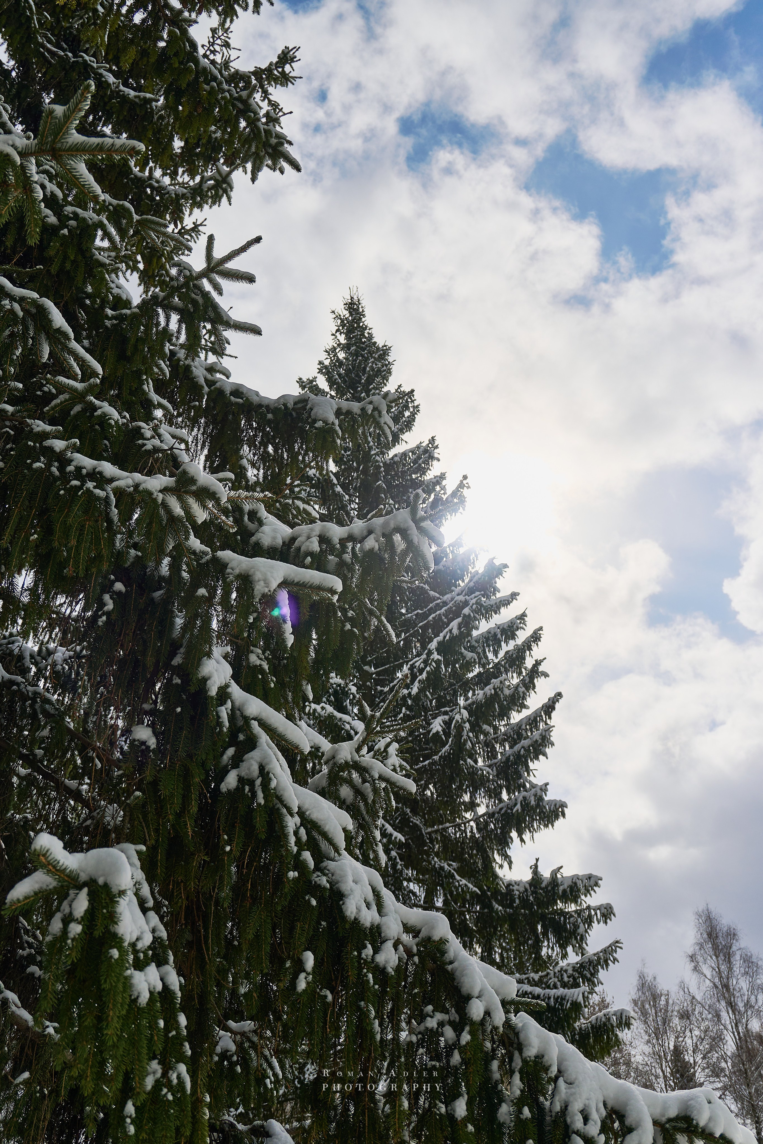 Апрельский снег. Москва 2025. Фотограф Роман Адлер