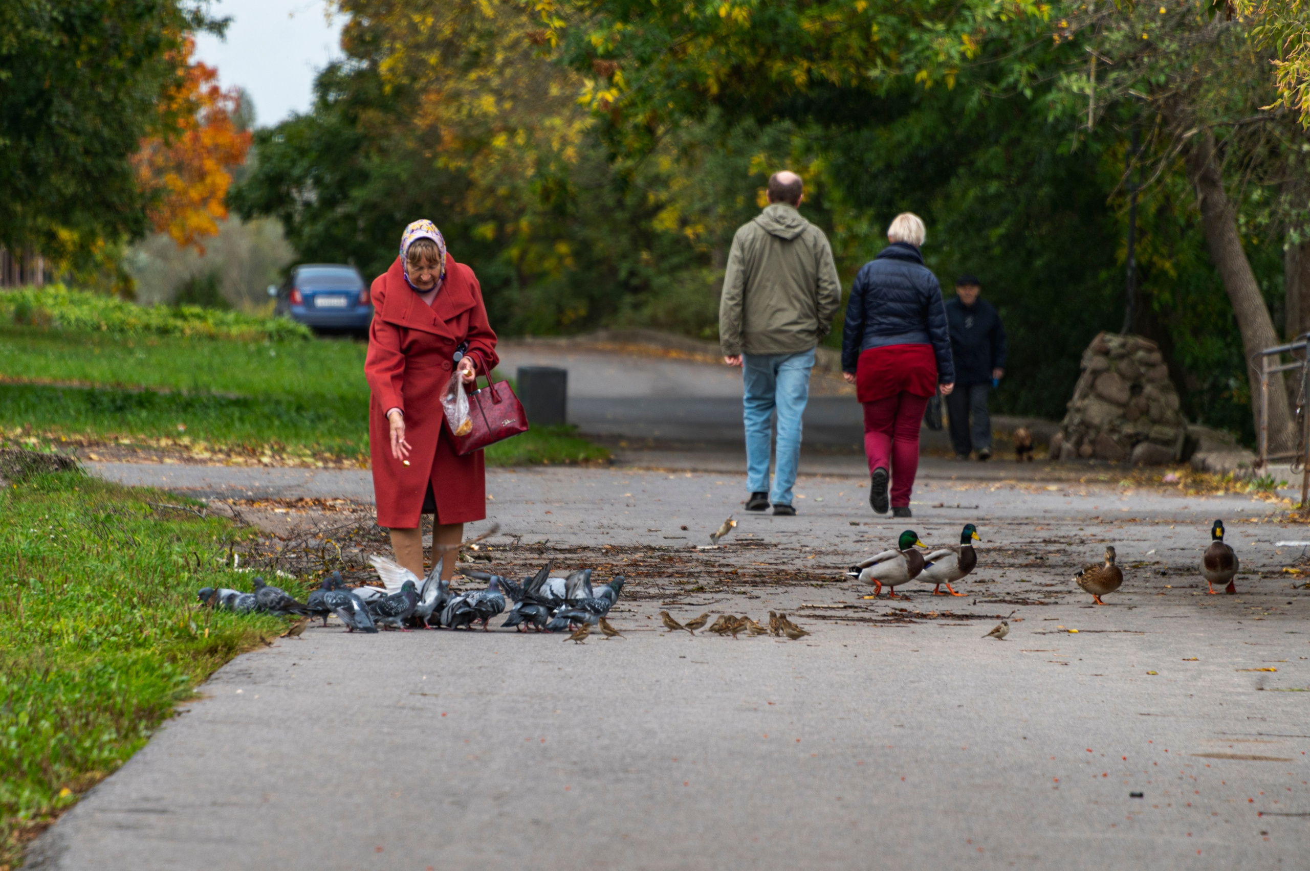 Псков. Октябрь 2023. Фотограф Роман Адлер