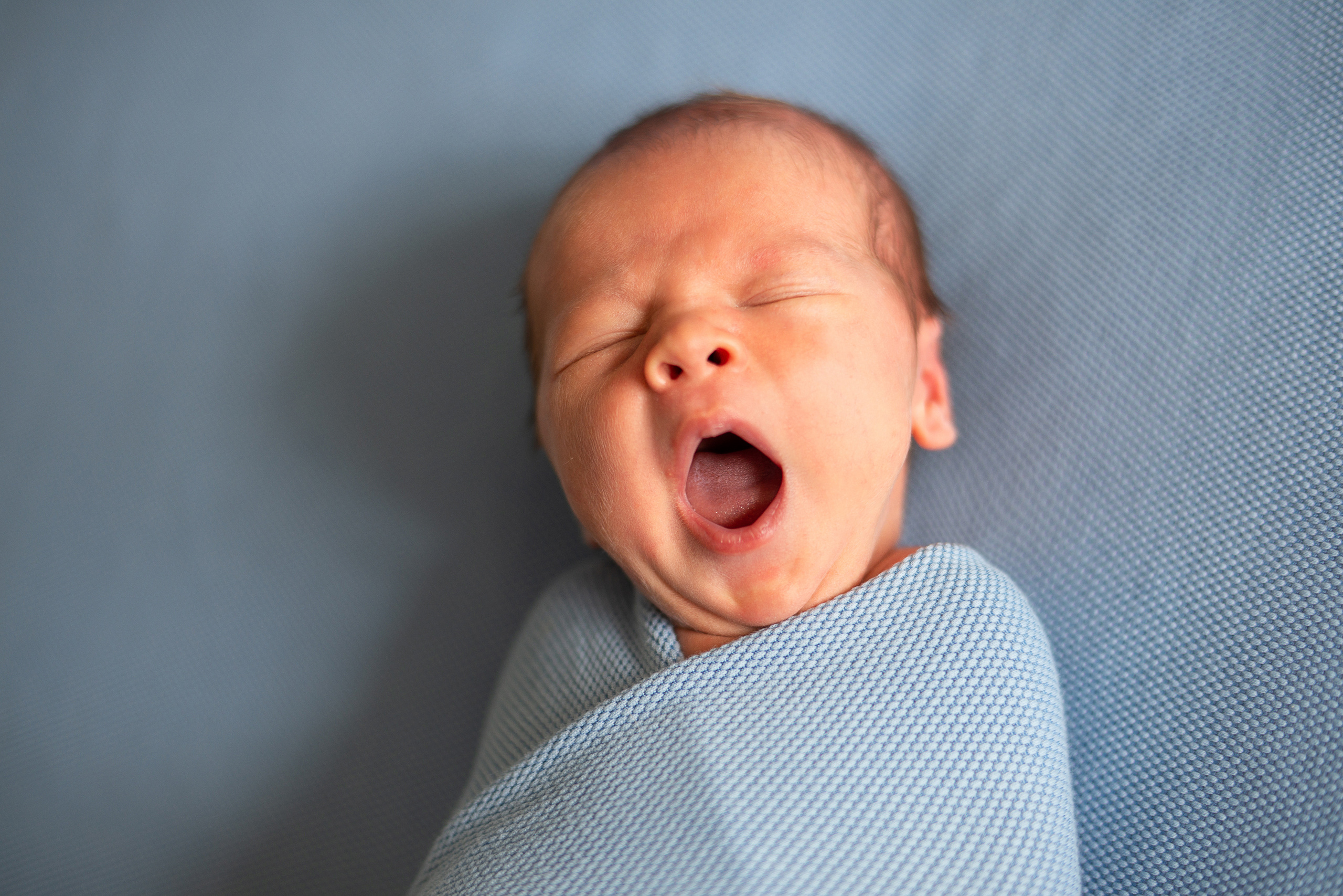 Родион. Семейный фотограф в Санкт-Петербурге Саша Кактус