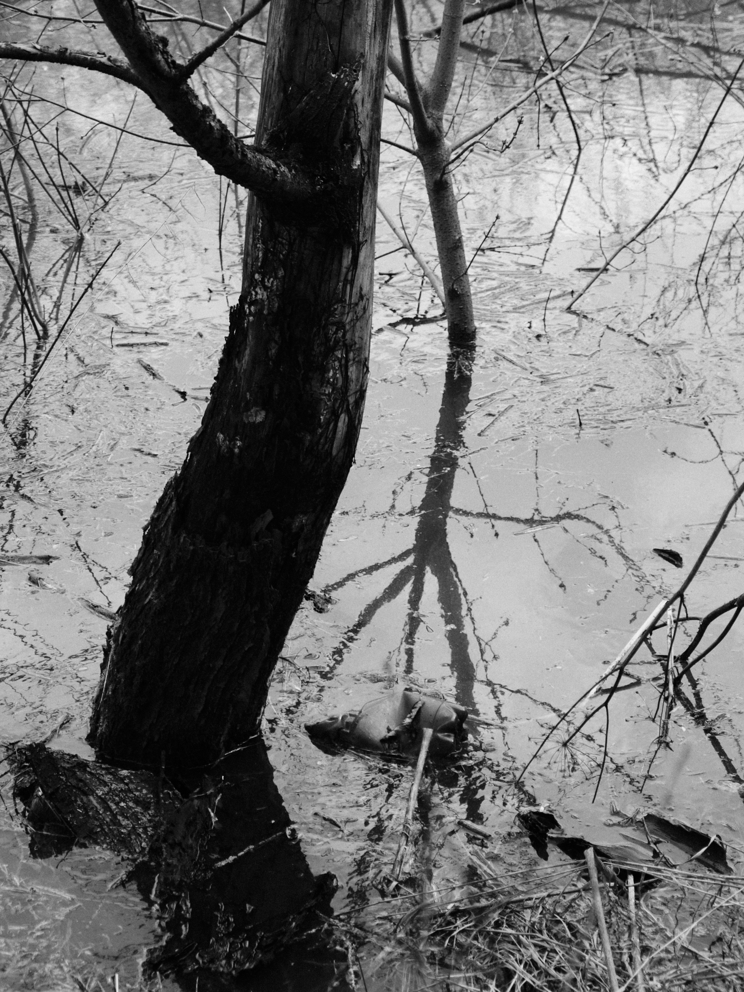 ЧБ. Фотограф-любитель из Кирова Андрей Погребняк