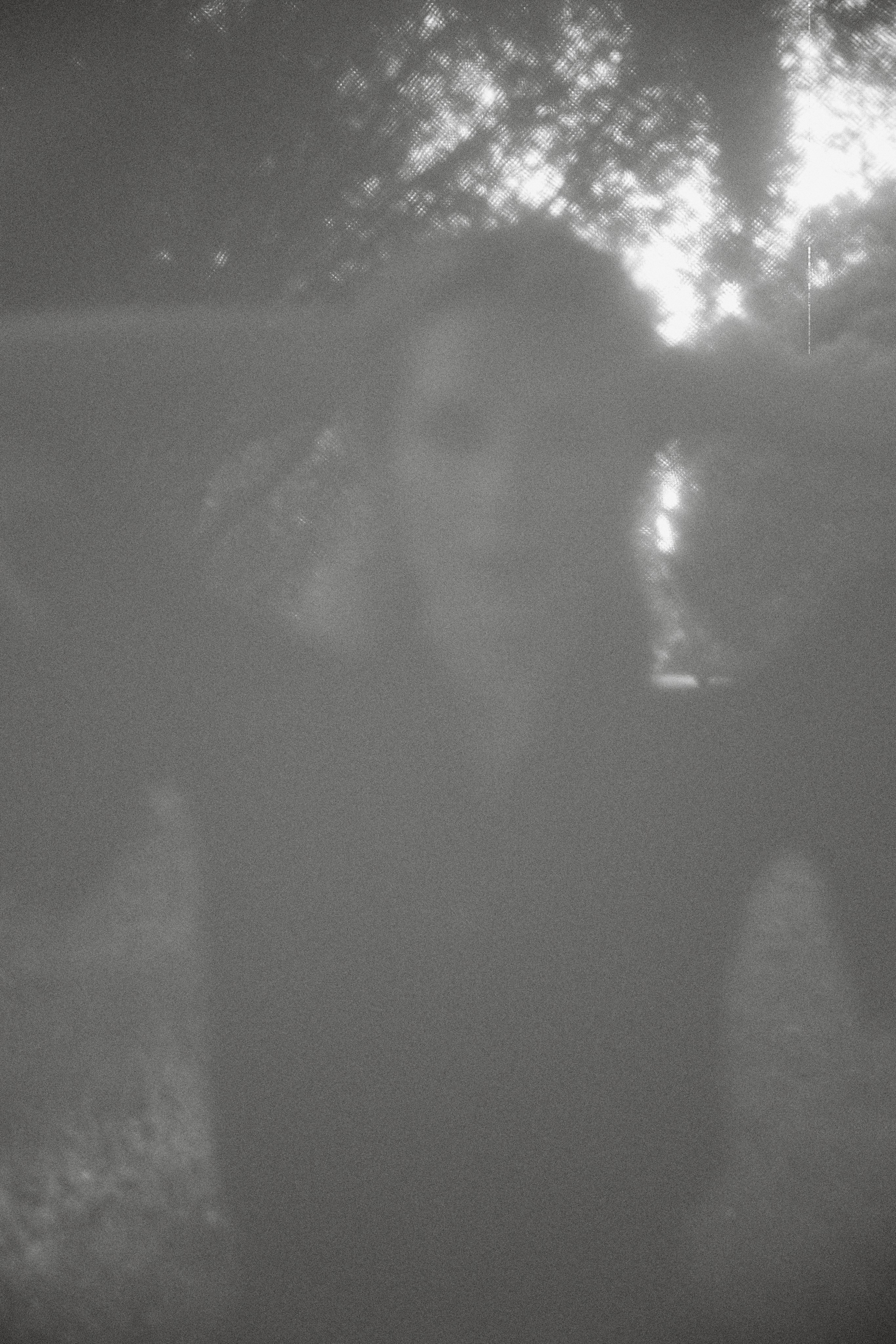 Саша. Семейный и детский фотограф Юлия Шох