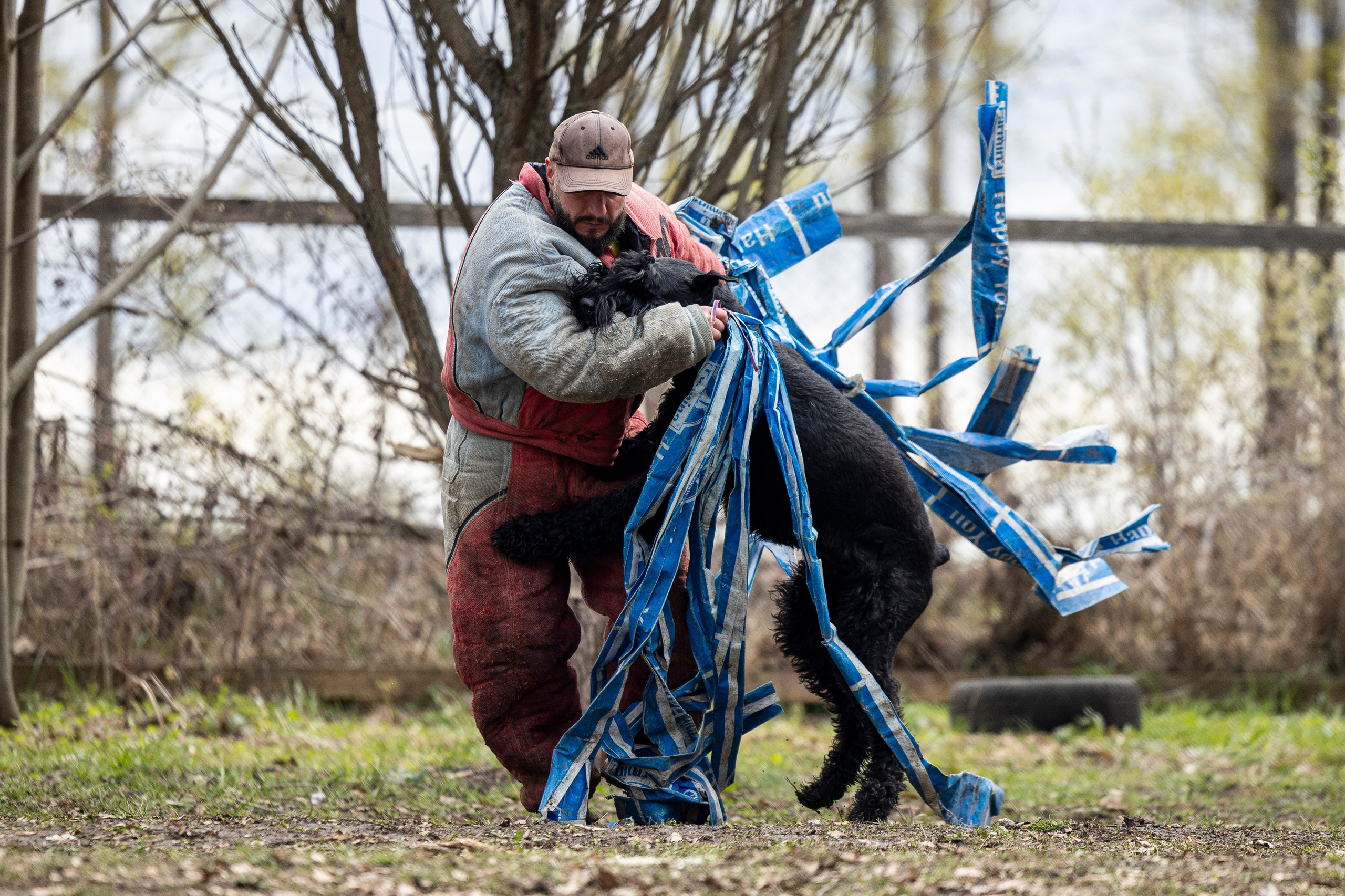 Квалификационные состязания по мондьорингу г. Вологда 11.05.24. Фотограф-анималист Анна Маринич