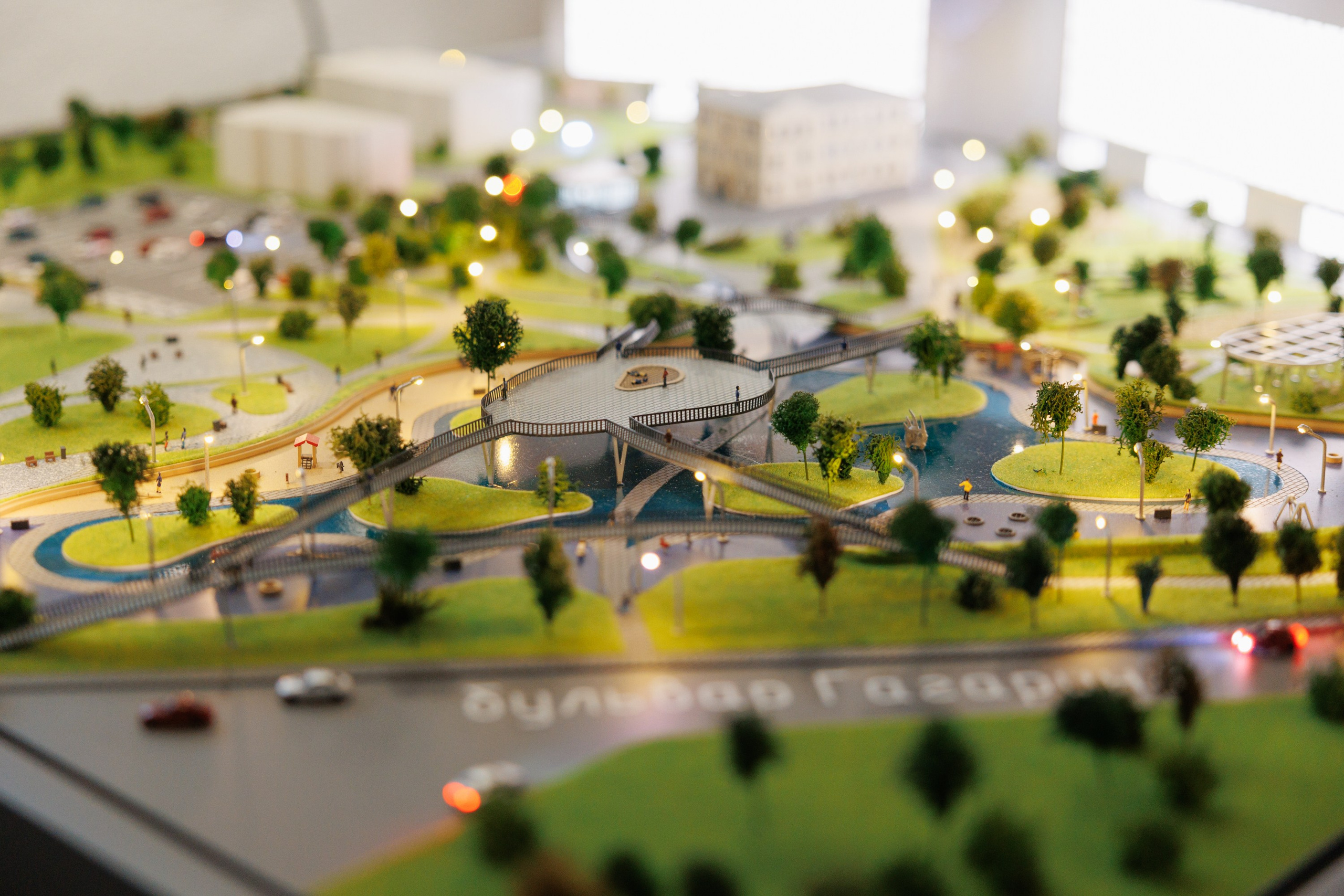 Светская хроника. Свадебный фотограф