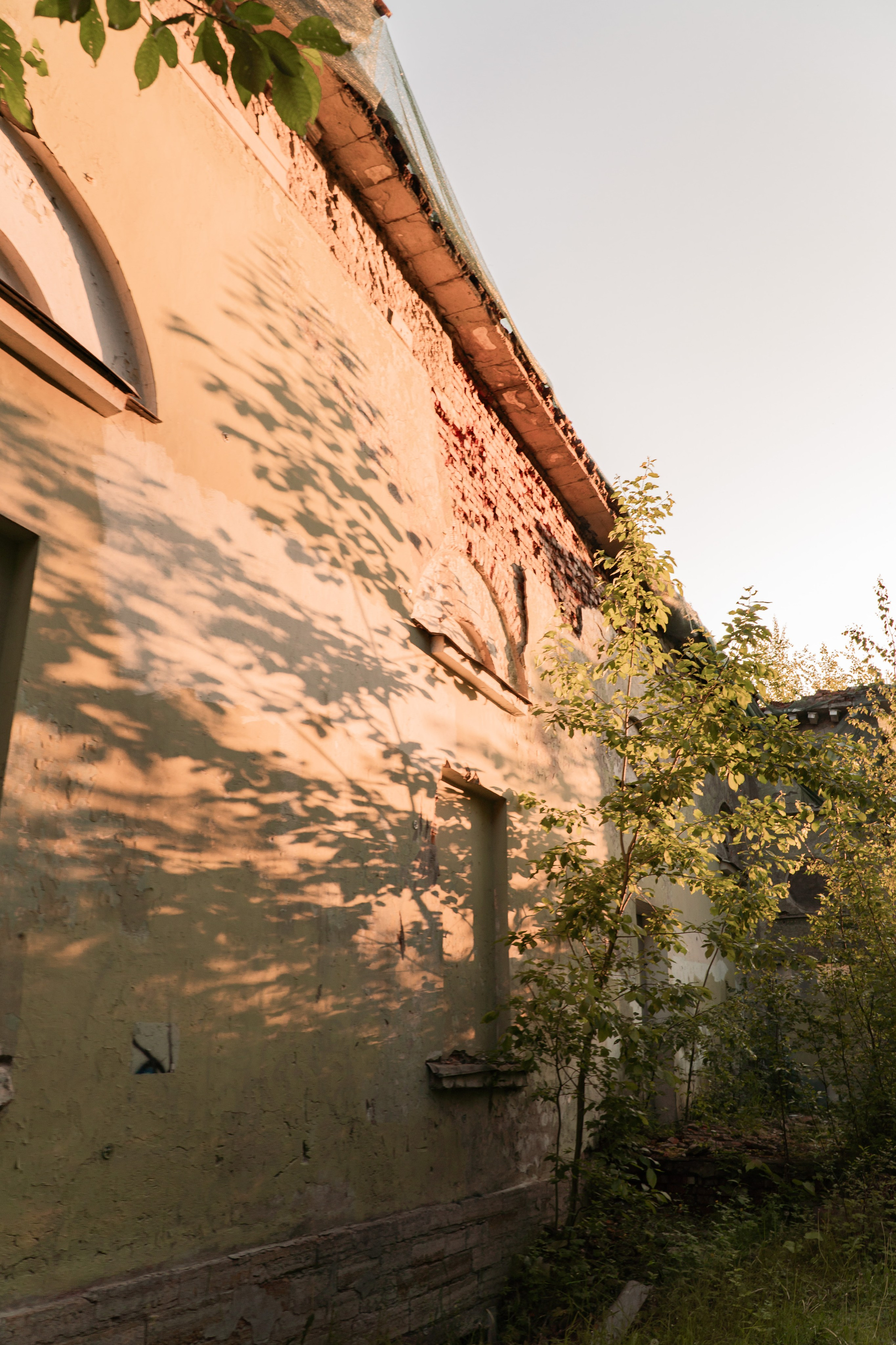 THE LOST THEATER. Rosebud. core production