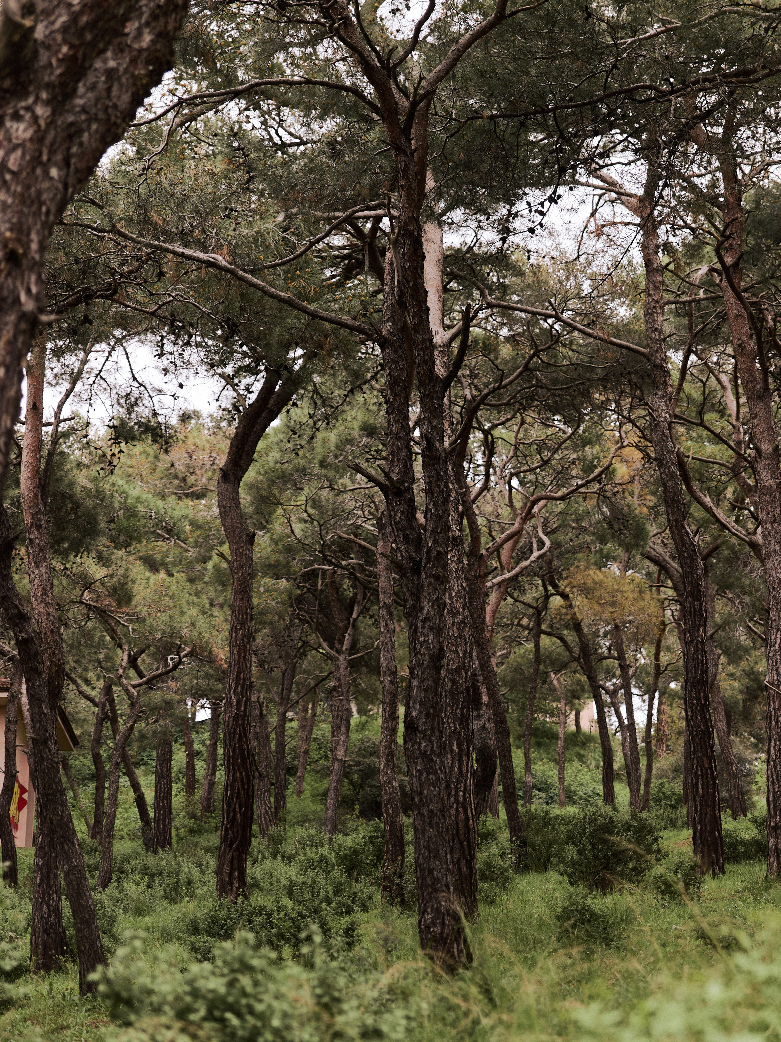 Природа. Jorgis Talè — photographer, kind person, teacher of arts and other mag