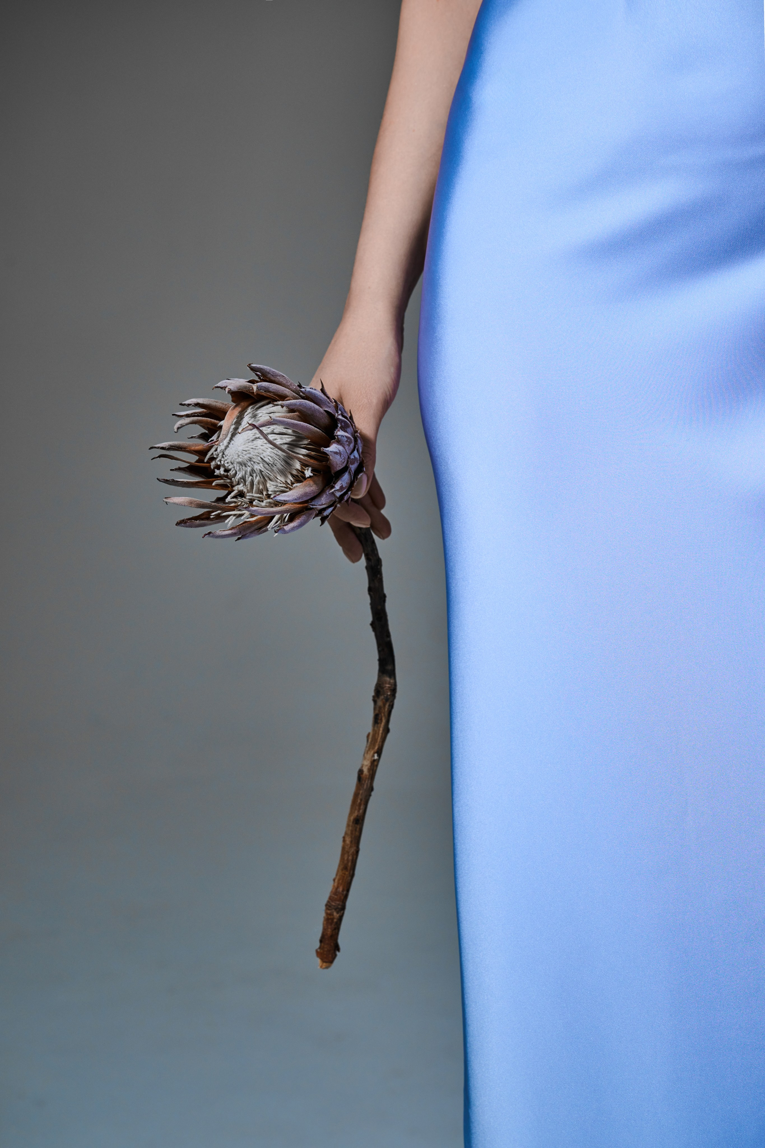 Сотрудничество с брендами. Фотограф в стиле Fashion в Москве. Мария Сентиментальная