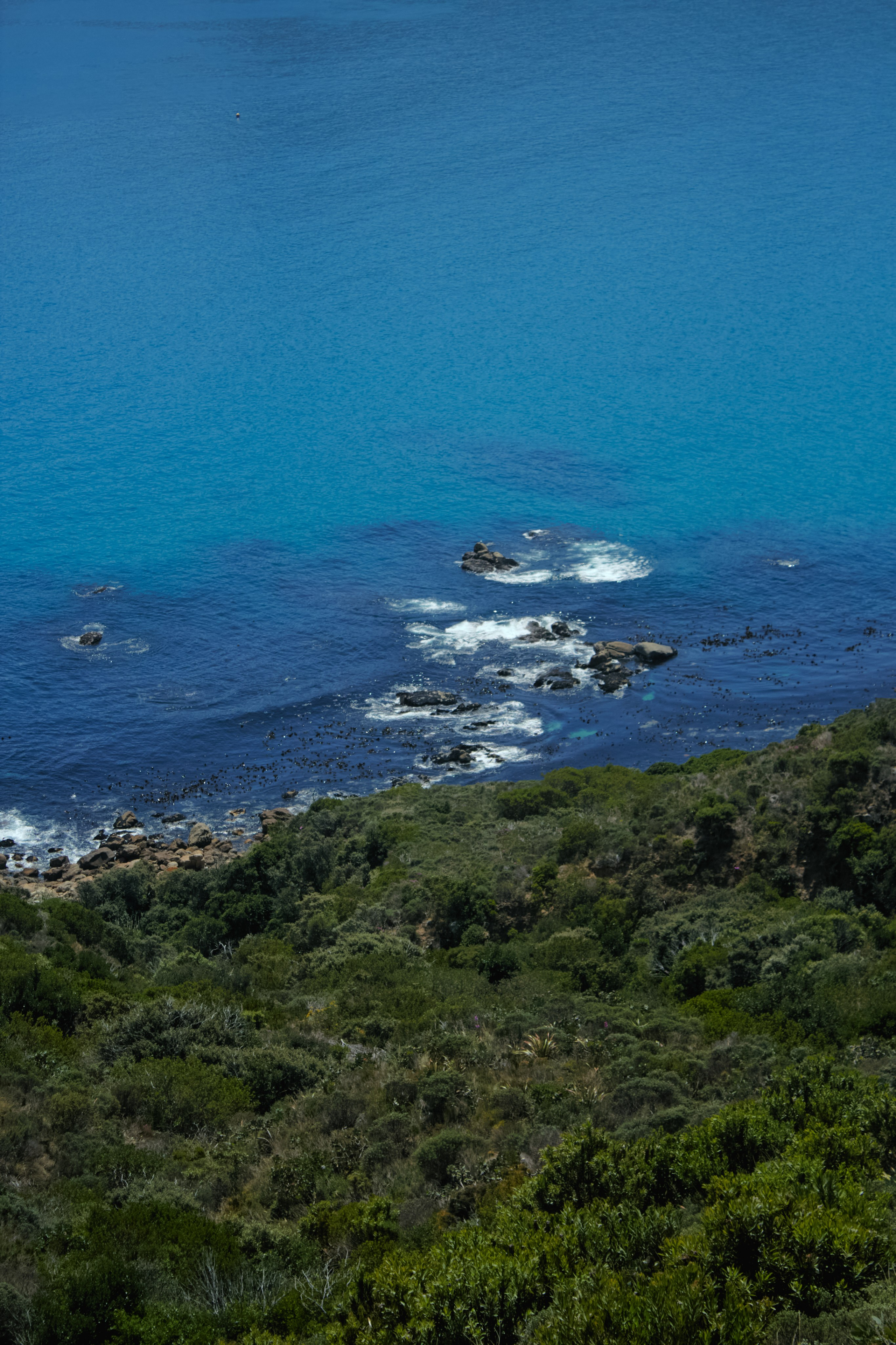 ЮАР. Профессиональный Фотограф во Владимире, в Москве и в Суздале — Полина Романычева