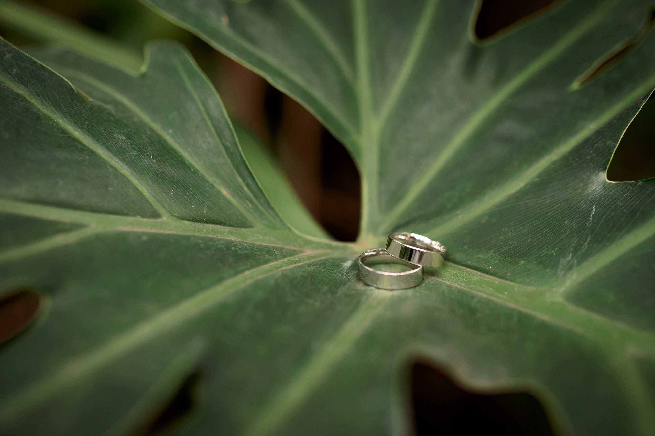 Илья и Катя. Семейный фотограф МОСКВА/Королёв