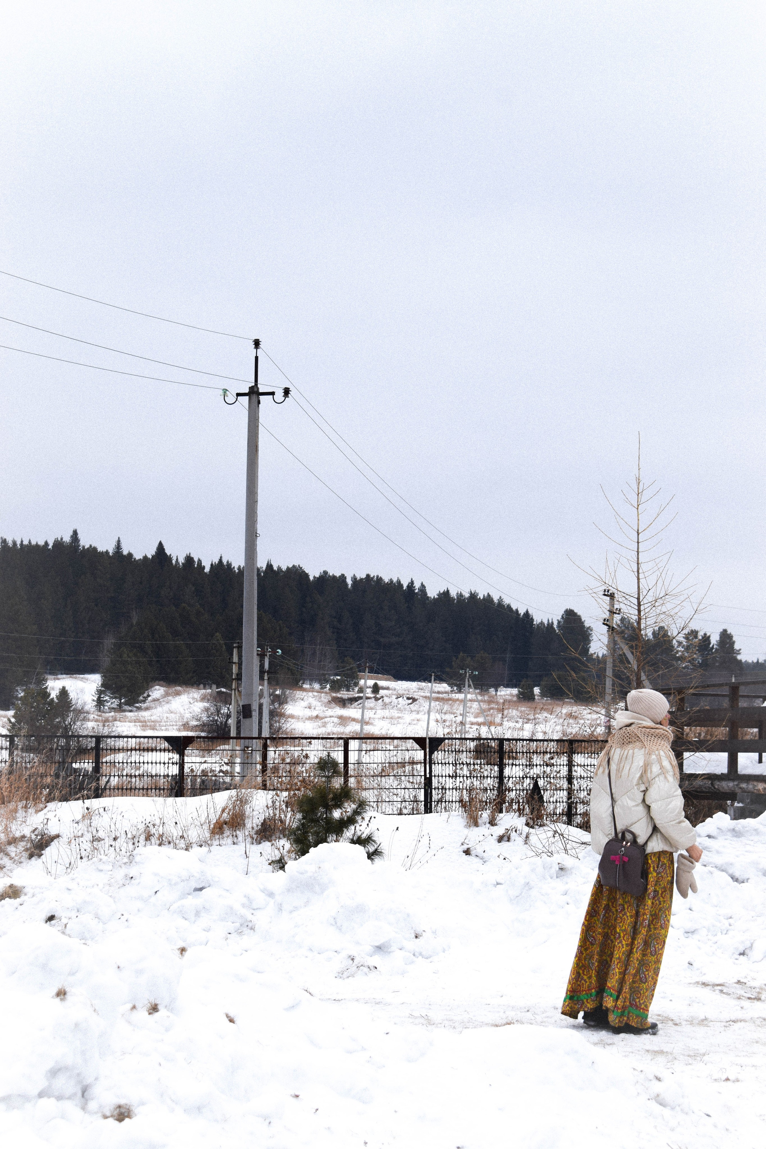 Мероприятия. Соня Мнема