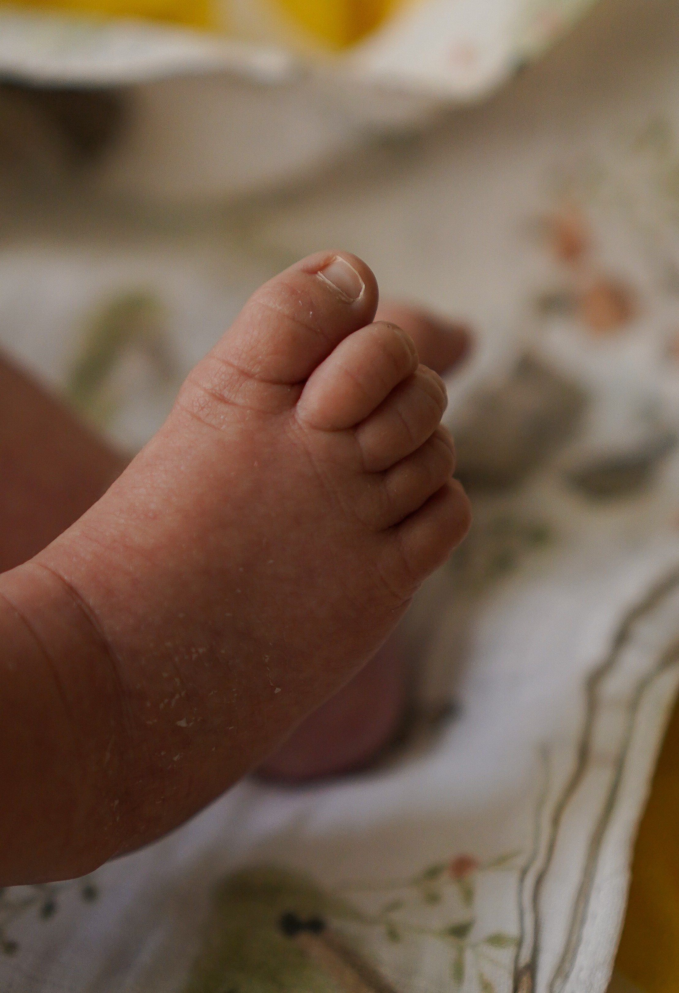 Федя, новенький на планете. Семейный фотограф в Москве Коровушкина Наталья. Съемка контента