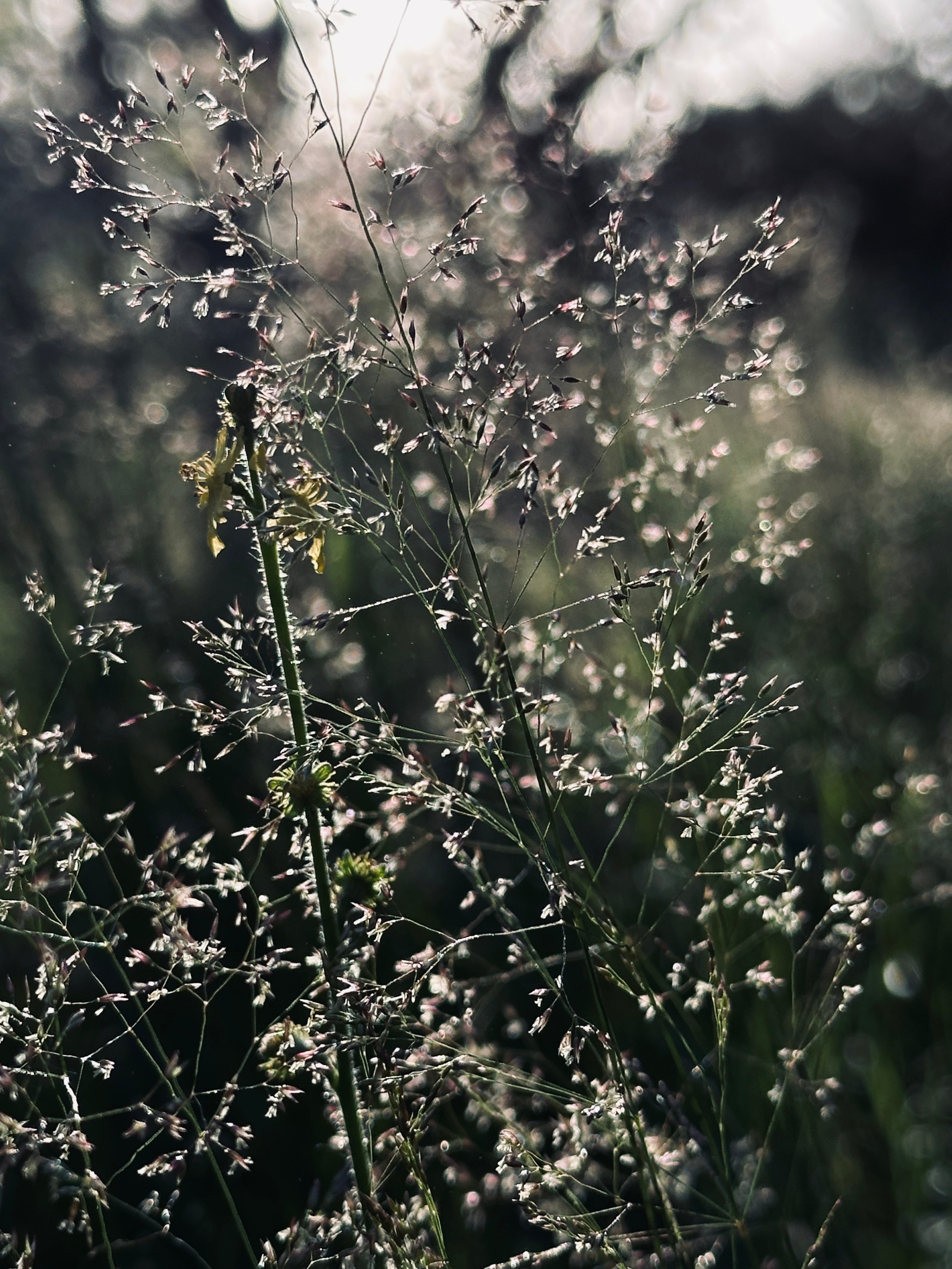 Флора и фауна. Смотри, красота!