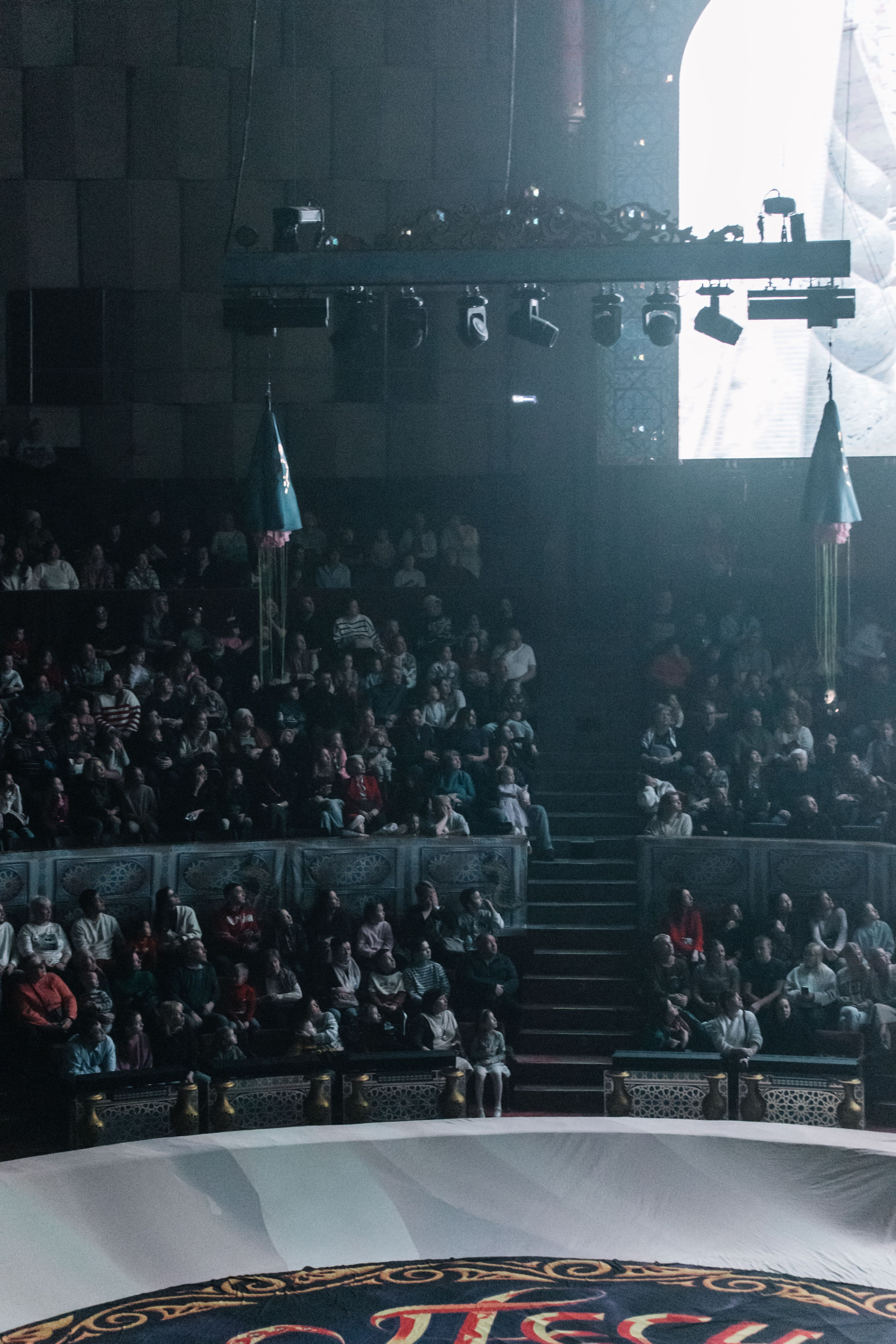 Королевский цирк Гии Эрадзе. Свадебный и семейный фотограф в Перми Лилия Гатауллина