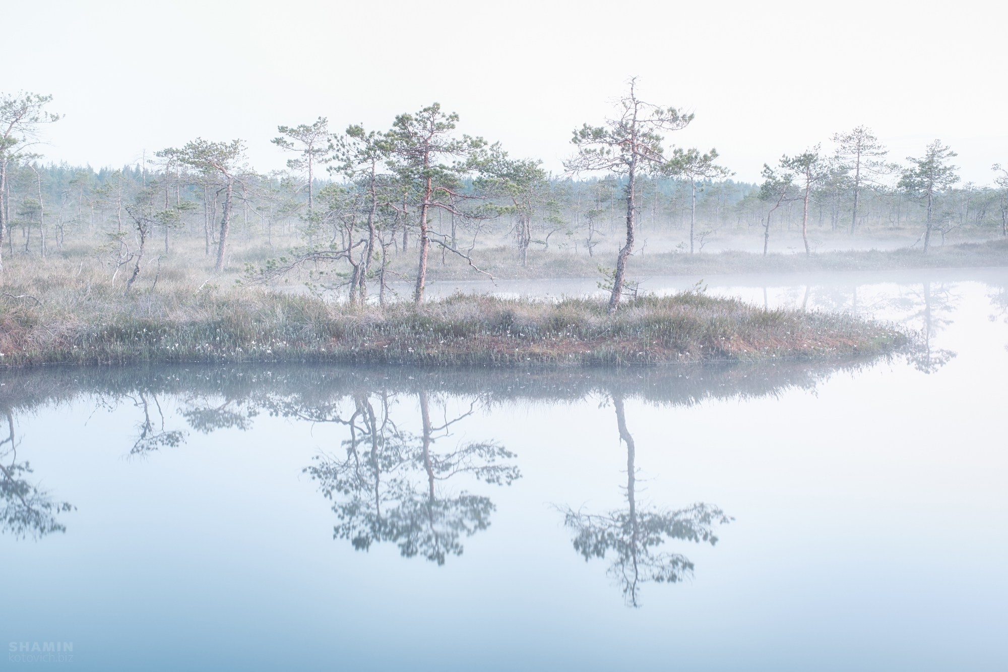 Пейзажи Ленинградской области — озёра, болота, побережье Финского залива, леса и рассветы Северо-Запада России. Природа и свет Ленинградской области. Фотограф Константин Шамин