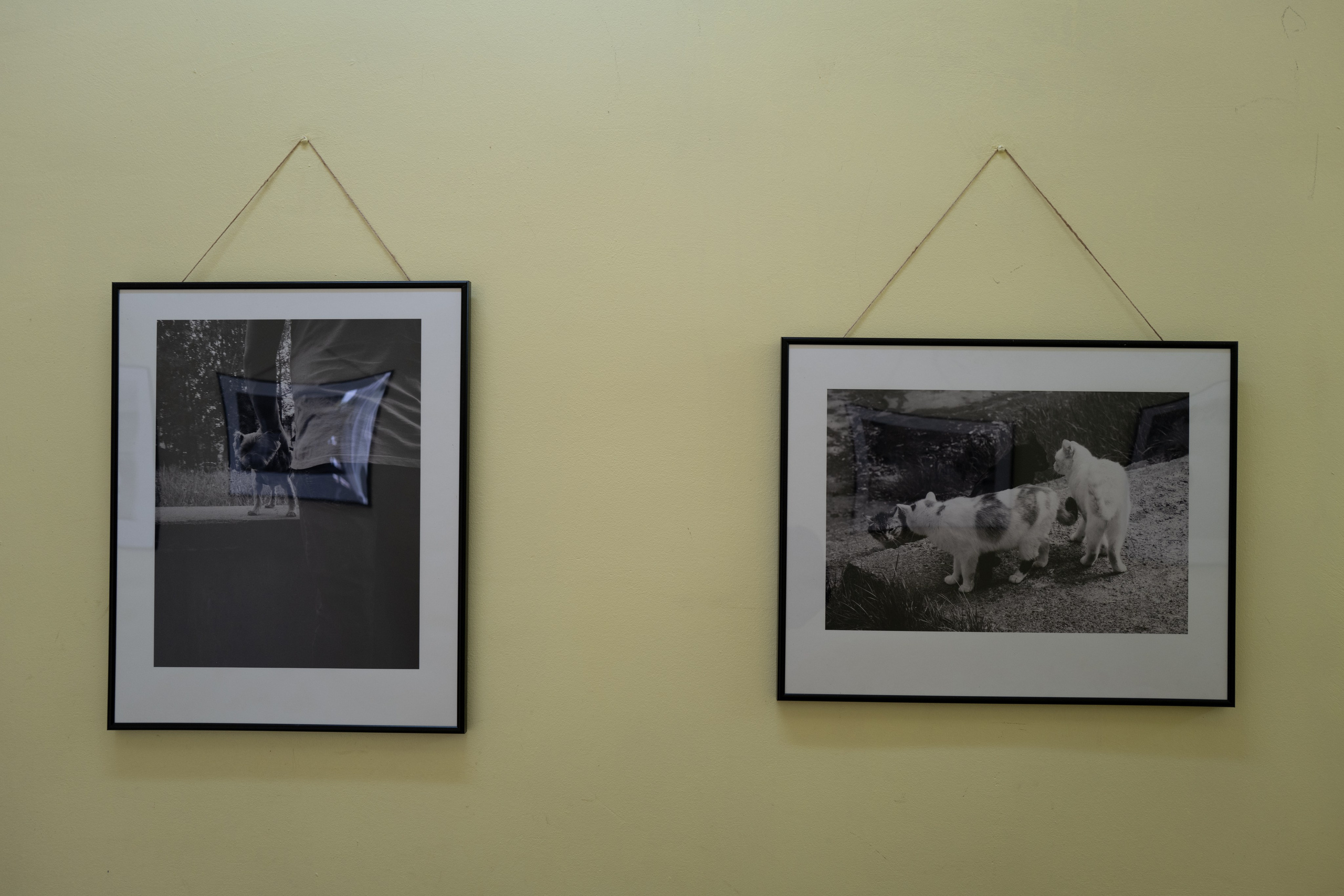 Выставка 01.04.2025. Фотограф Александр Тихонов