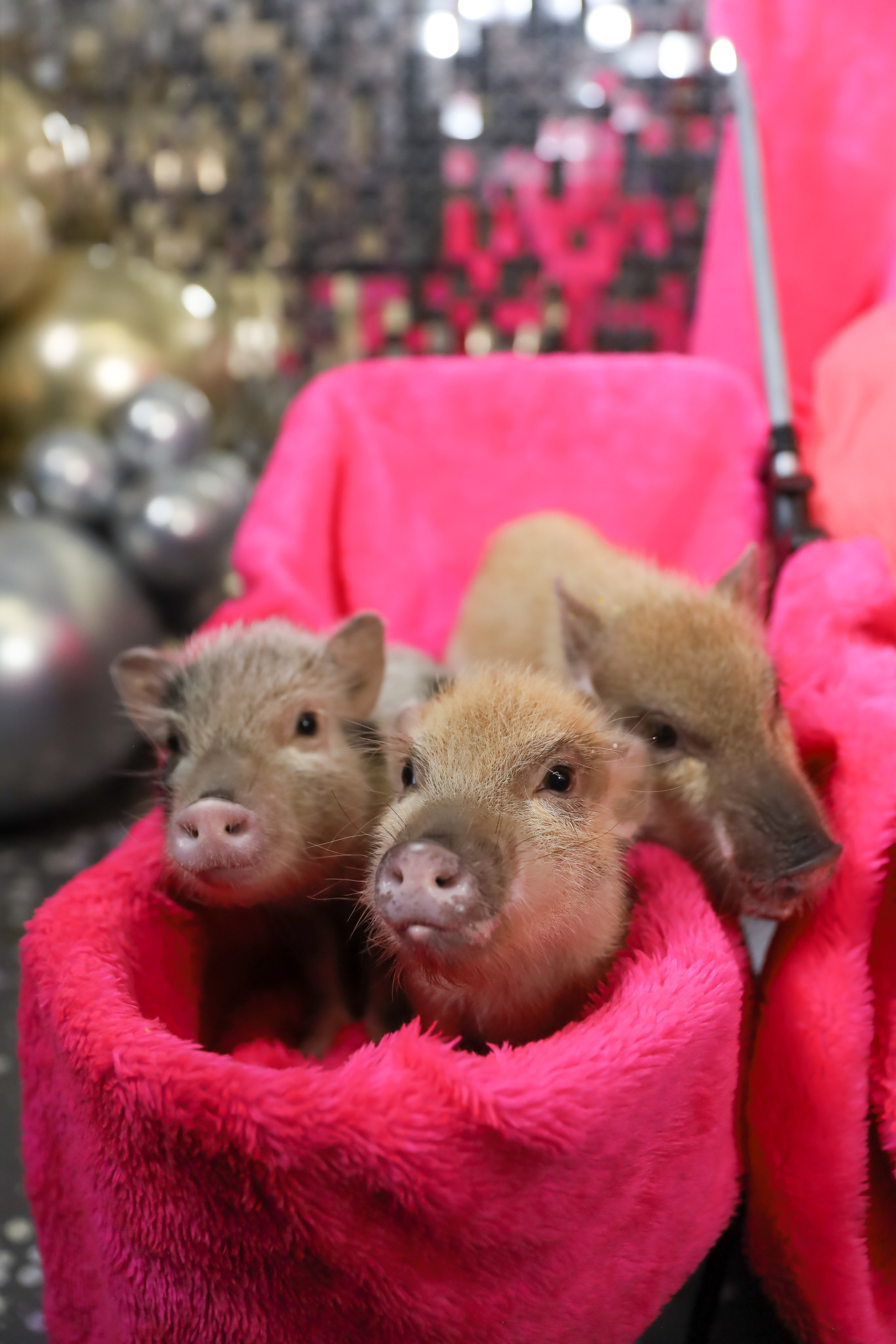 ДЕНЬ РОЖДЕНИЯ ЕВЫ В КРБ. Фотограф мероприятий Ирина Каширина