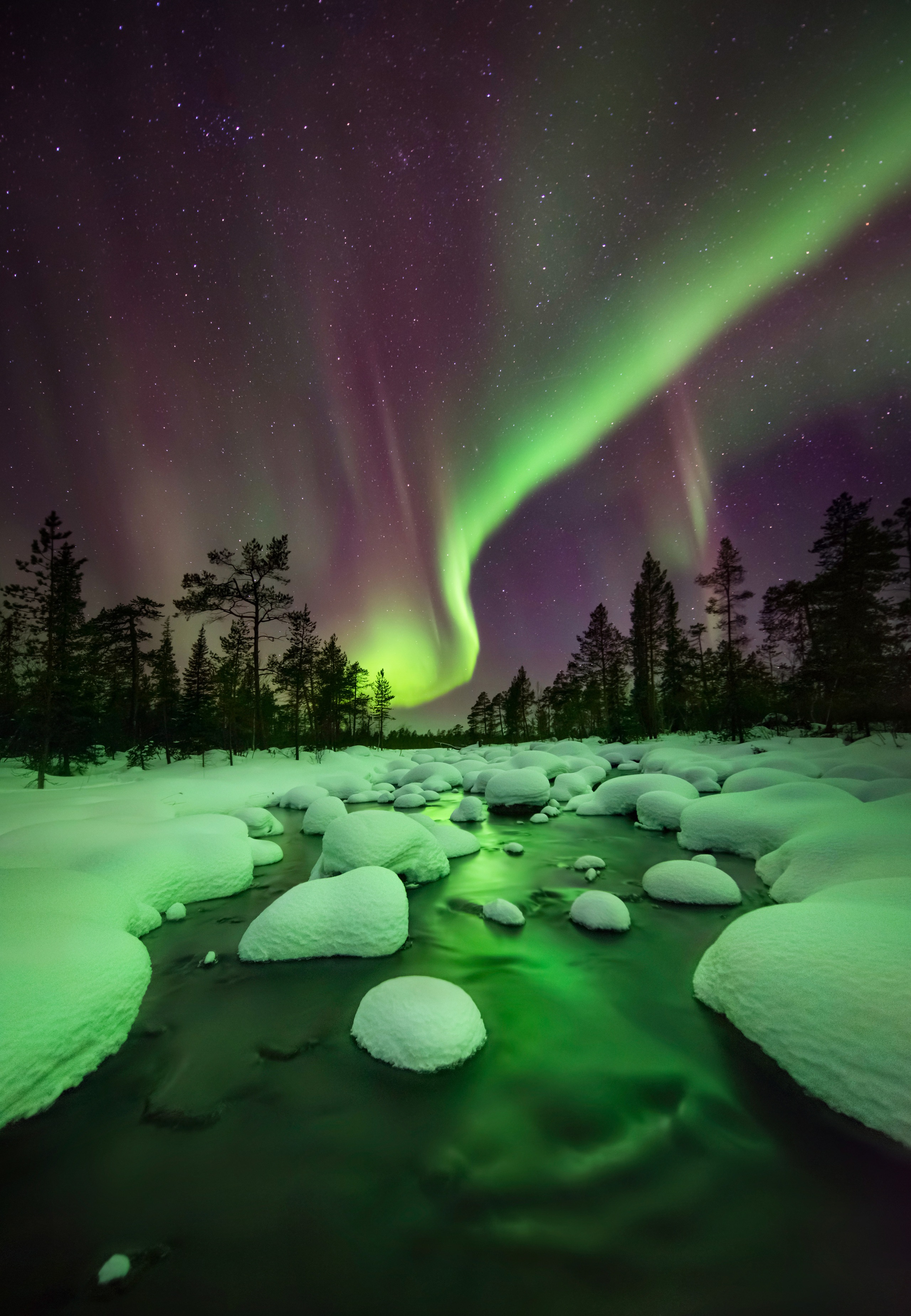 Пейзажный фотограф Ермолина Елена