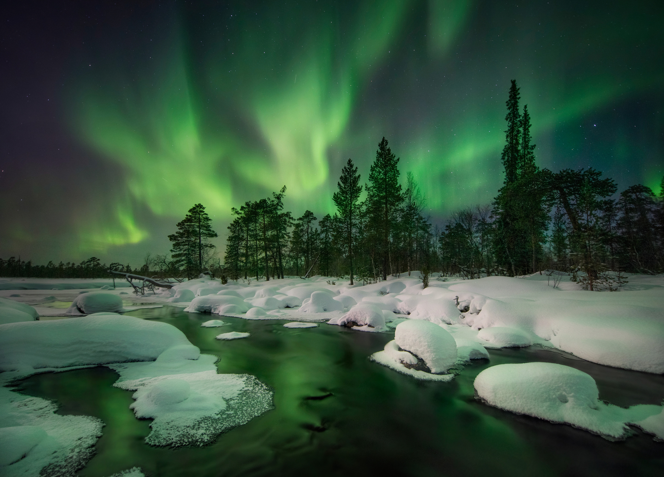 Пейзажный фотограф Ермолина Елена