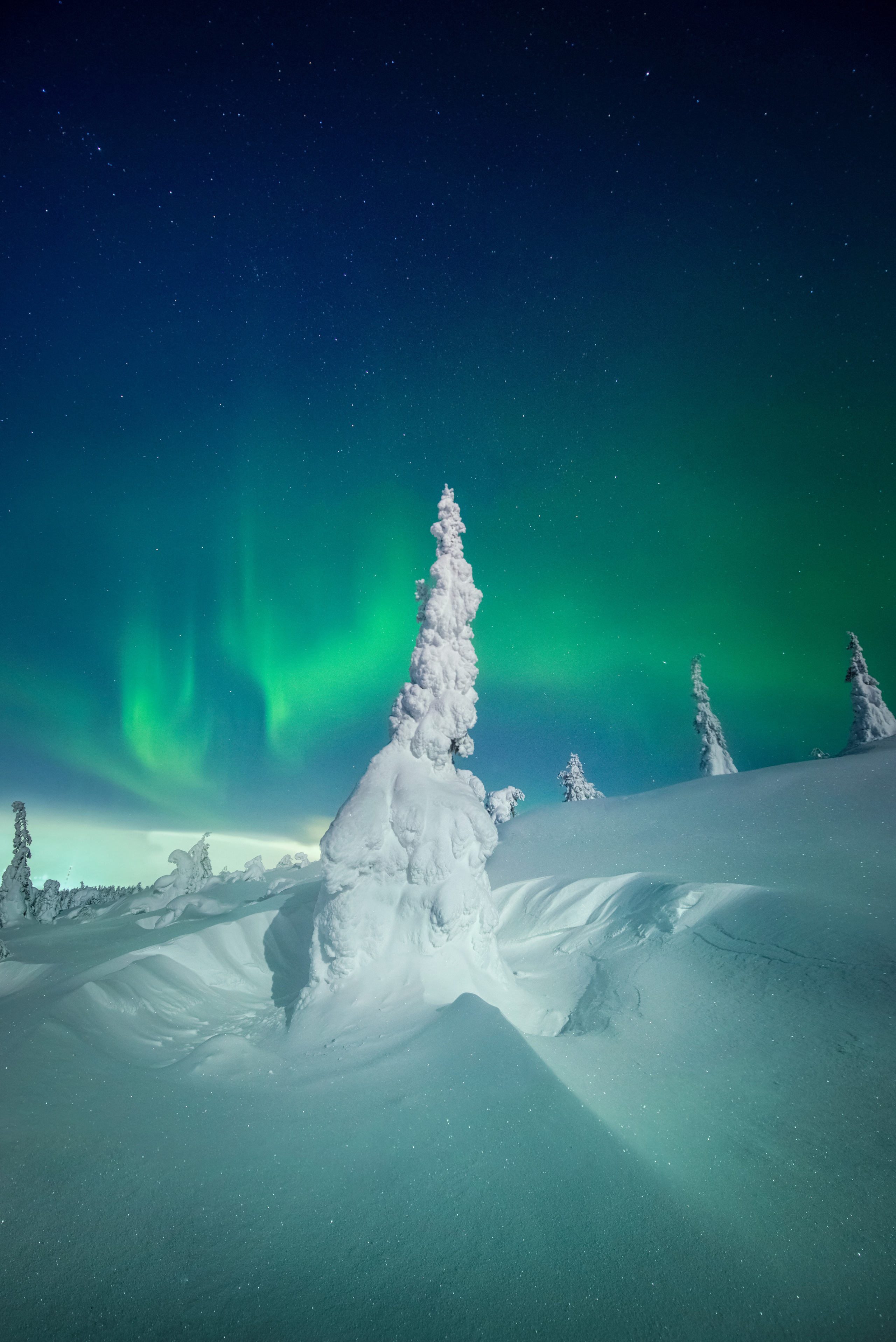 Пейзажный фотограф Ермолина Елена