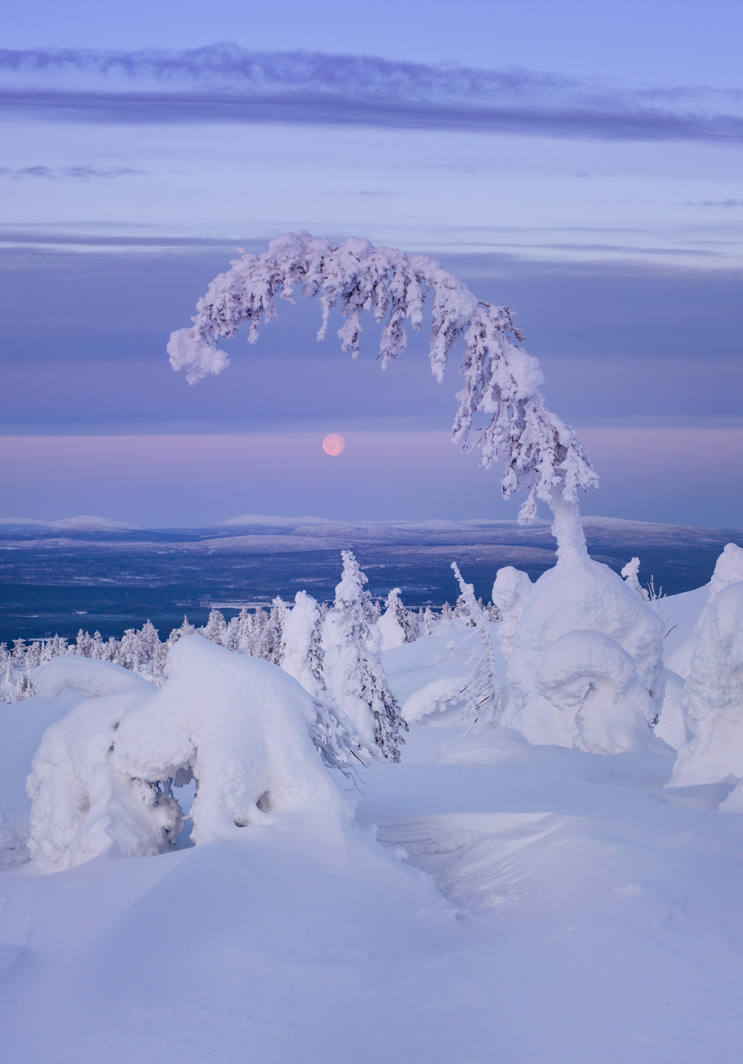 Russian North. Landscape photographer Elena Ermolina