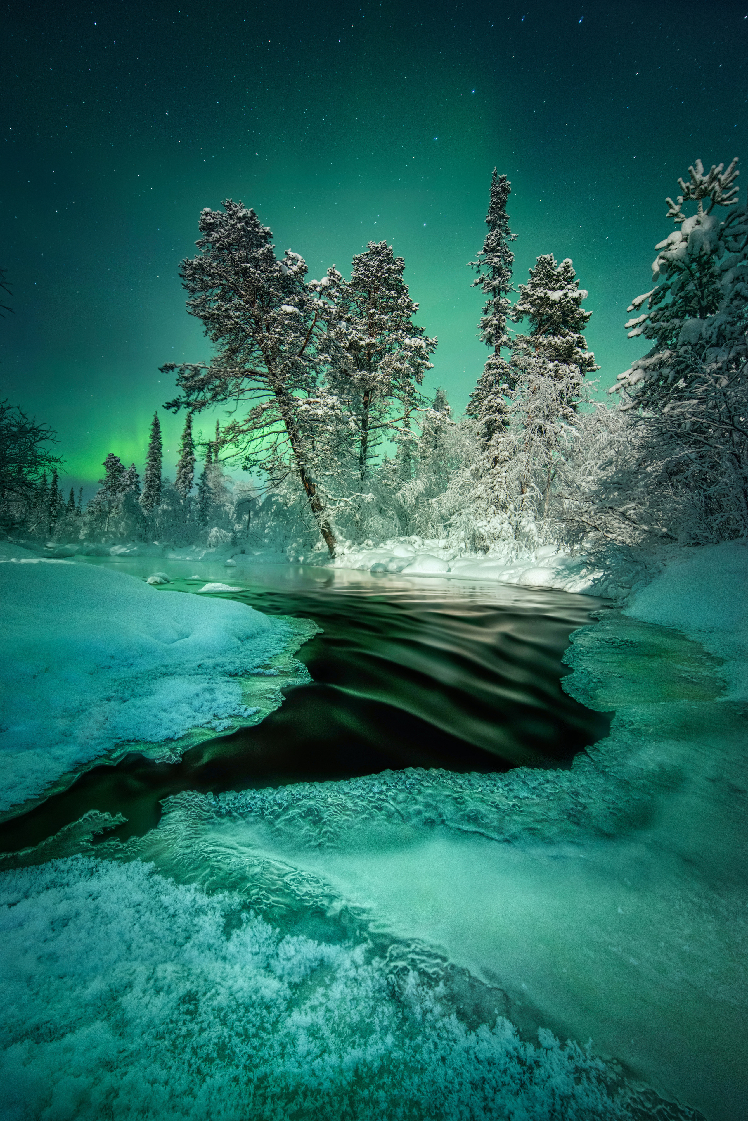 Пейзажный фотограф Ермолина Елена