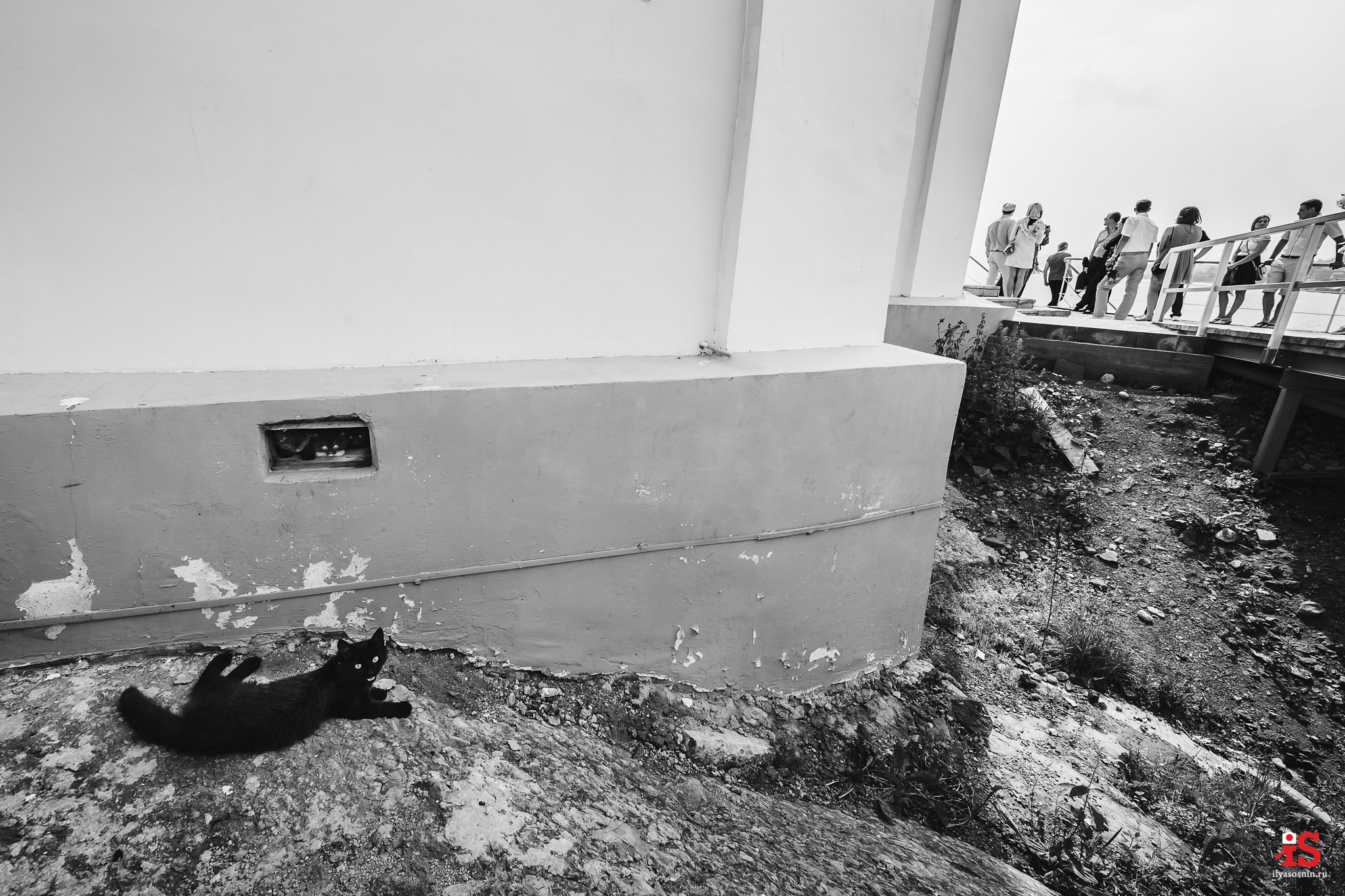 Фотограф на свадьбу Карелия. Профессиональный фотограф Петрозаводск Илья Соснин