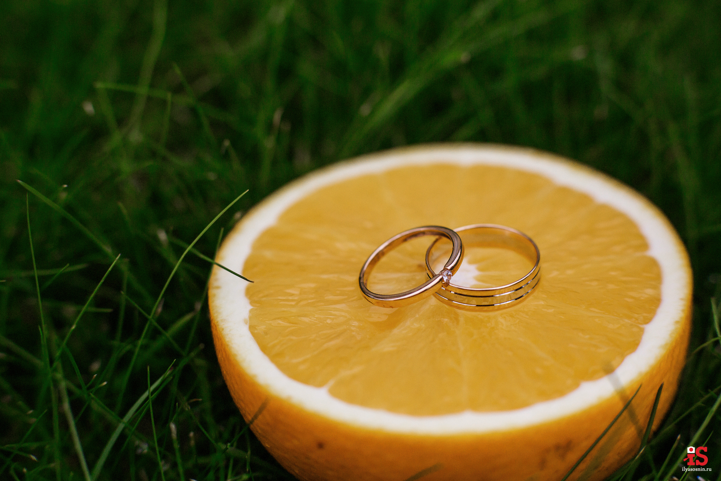 Фотограф на свадьбу Петрозаводск. Профессиональный фотограф Петрозаводск Илья Соснин