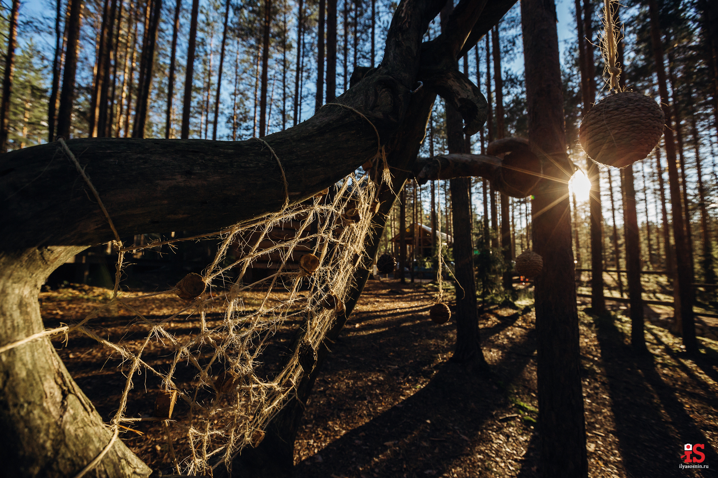 фотограф Птз, фото на свадьбу Петрозаводск, фотограф на свадьбу Петрозаводск, лучшие фотографы Петрозаводск Птз, свадебный фотограф Новороссийск, свадебный фотограф Сочи, фотограф на свадьбу Финляндия, свадебный фотограф Хельсинки, фотограф на свадьбу Спб, свадебный фотограф Питер
