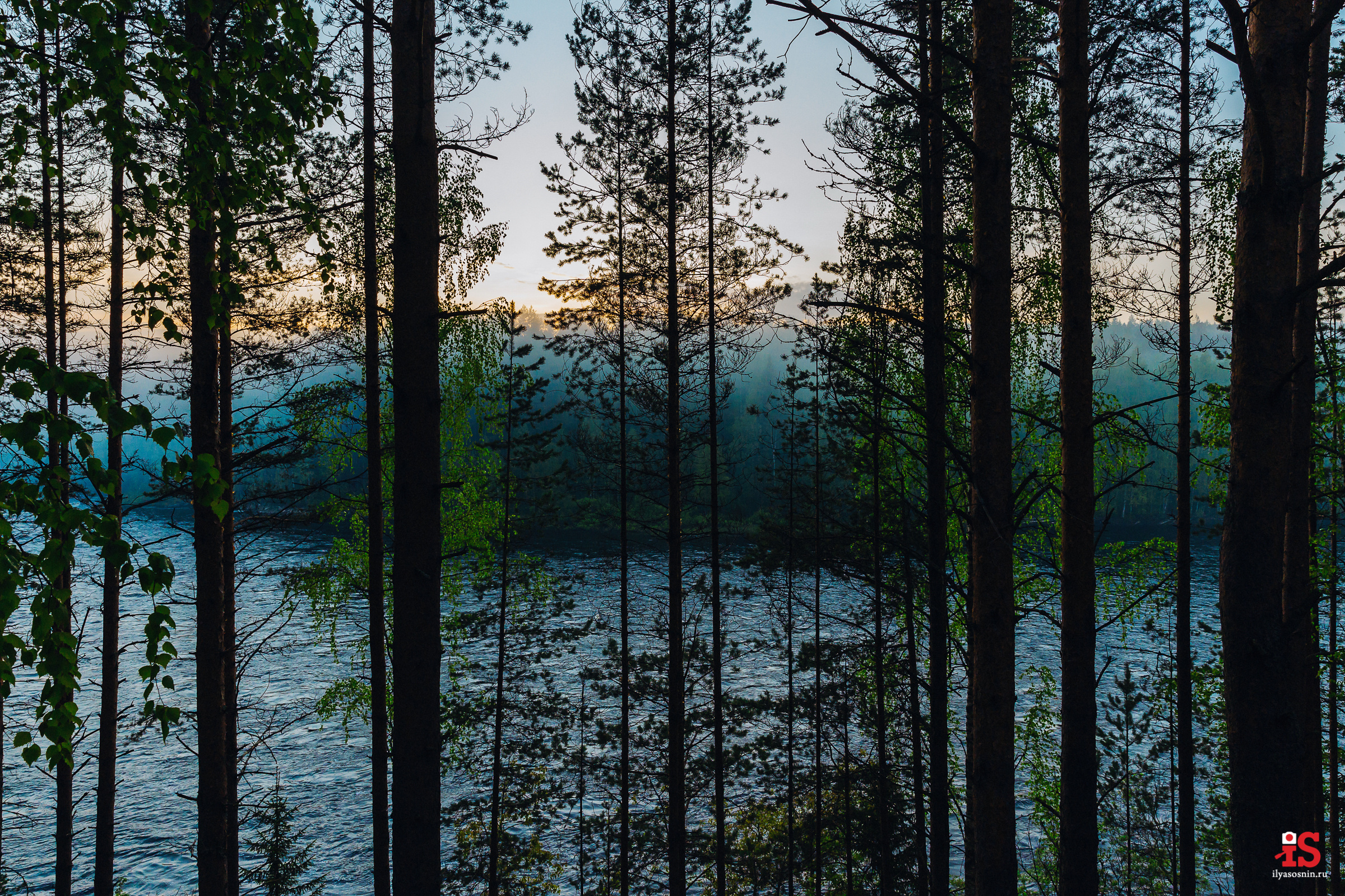 Фотограф на свадьбу Птз. Профессиональный фотограф Петрозаводск Илья Соснин