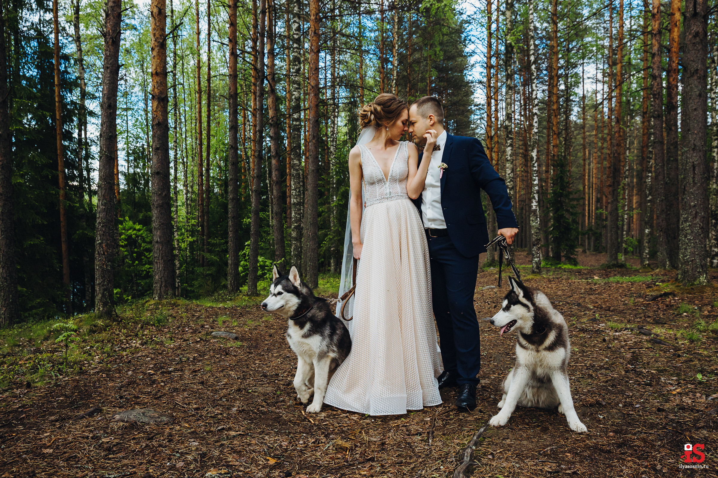 Фотограф на свадьбу Птз. Профессиональный фотограф Петрозаводск Илья Соснин