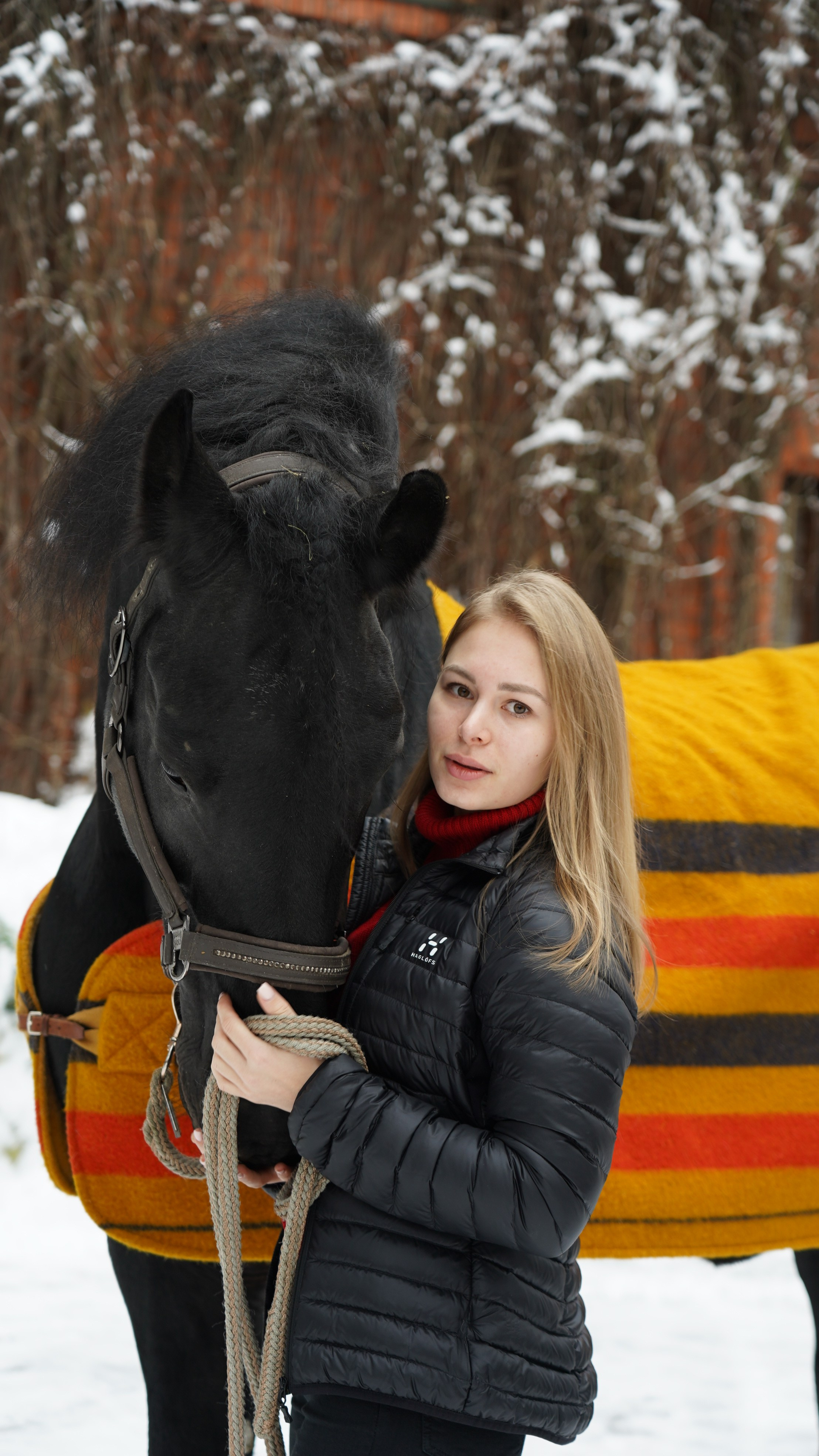 Фотосессия с лошадьми. Главная