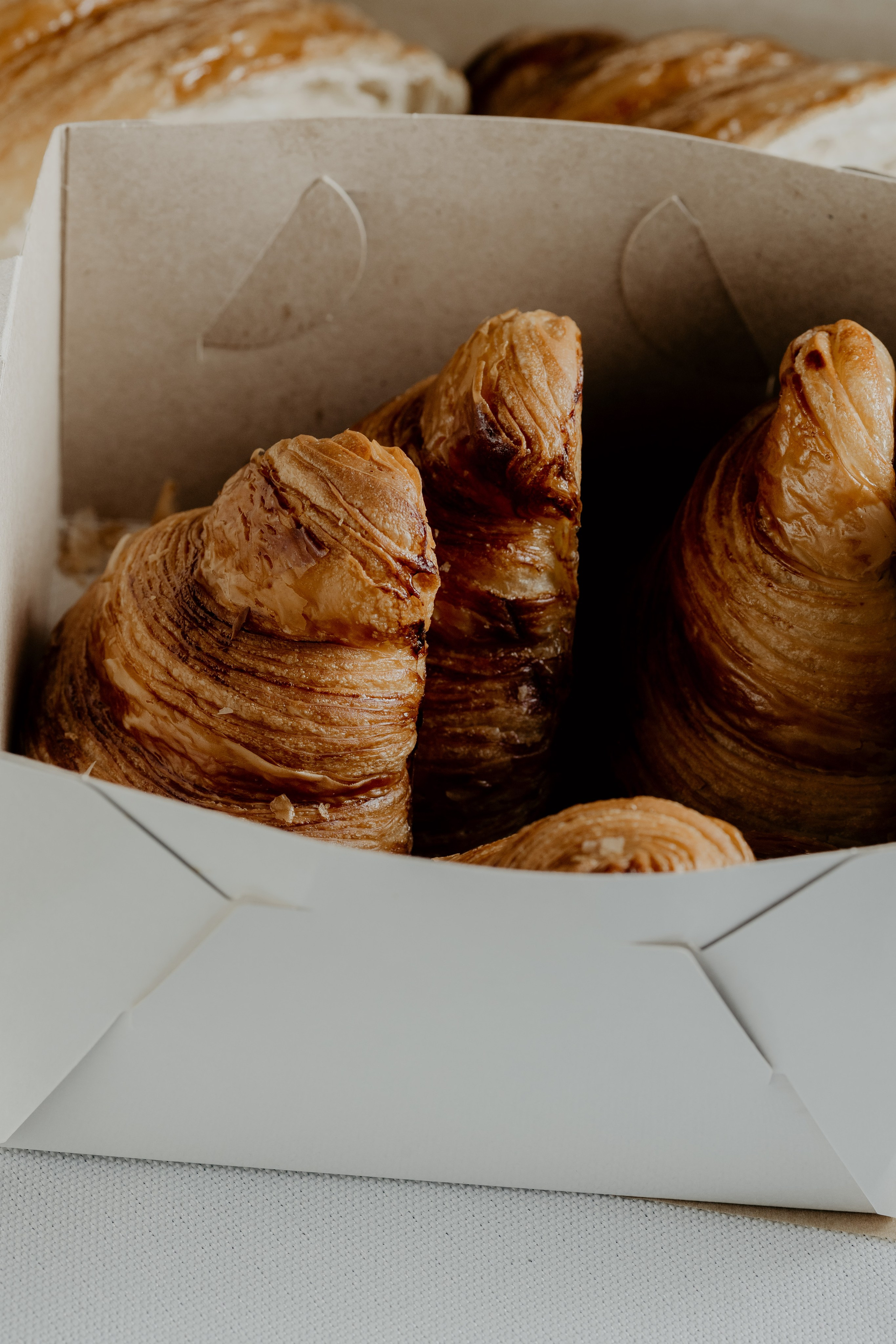 Elpan. Свадебный фотограф в Нальчике Алим Джаппуев