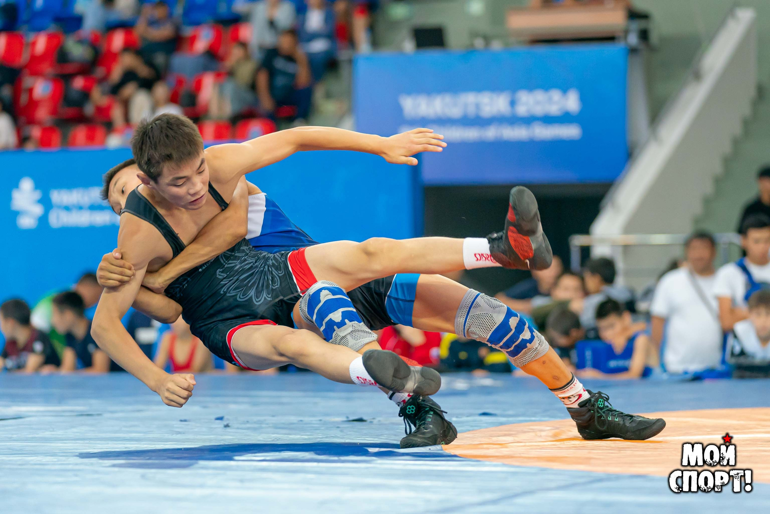 Соревнования по вольной борьбе в честь П. П. Пинигина. Студия «Мой Спорт!» — все о спорте в Якутии