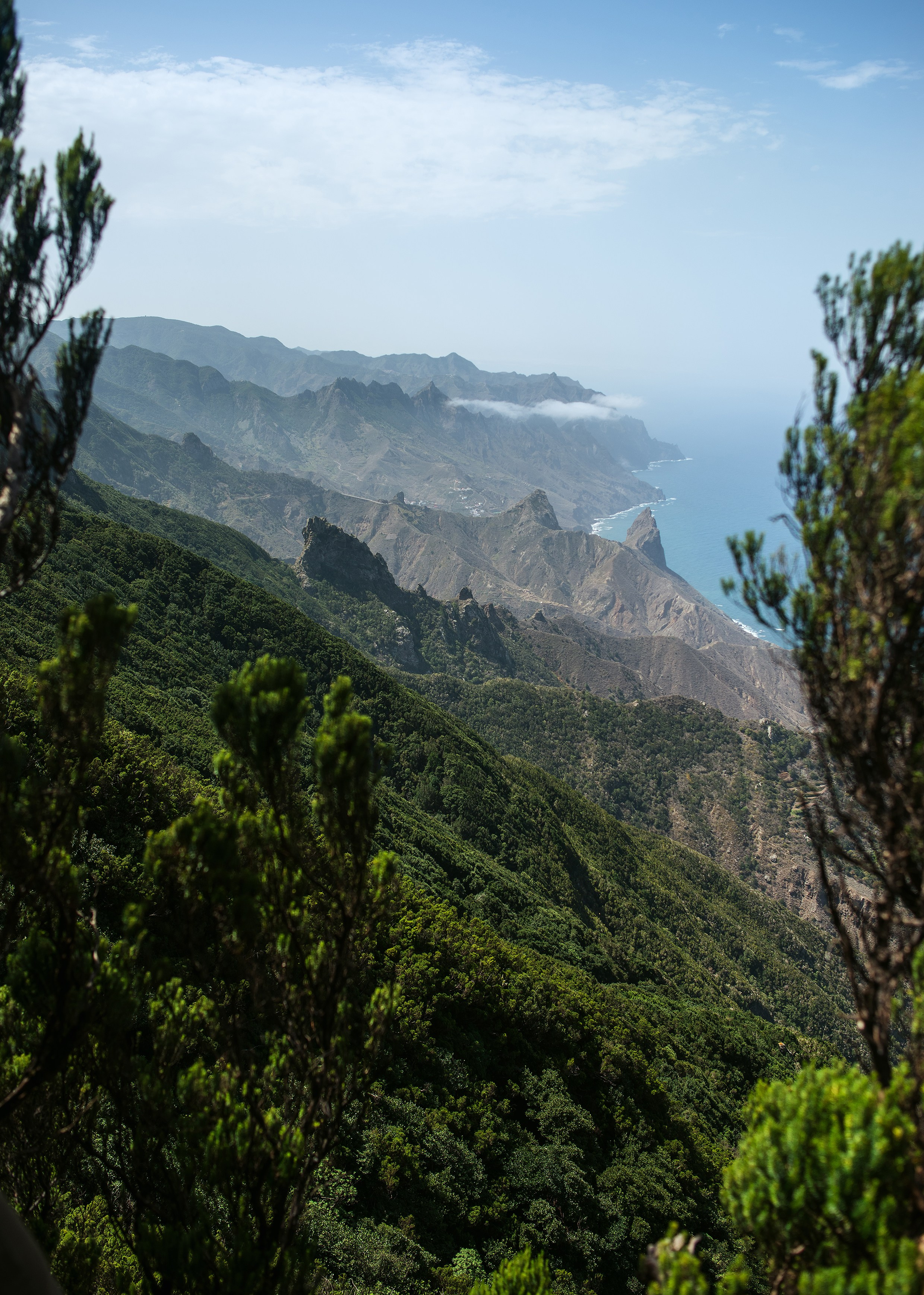 Пейзажи. Фотограф в Санкт-Петербурге Мария Мельникова