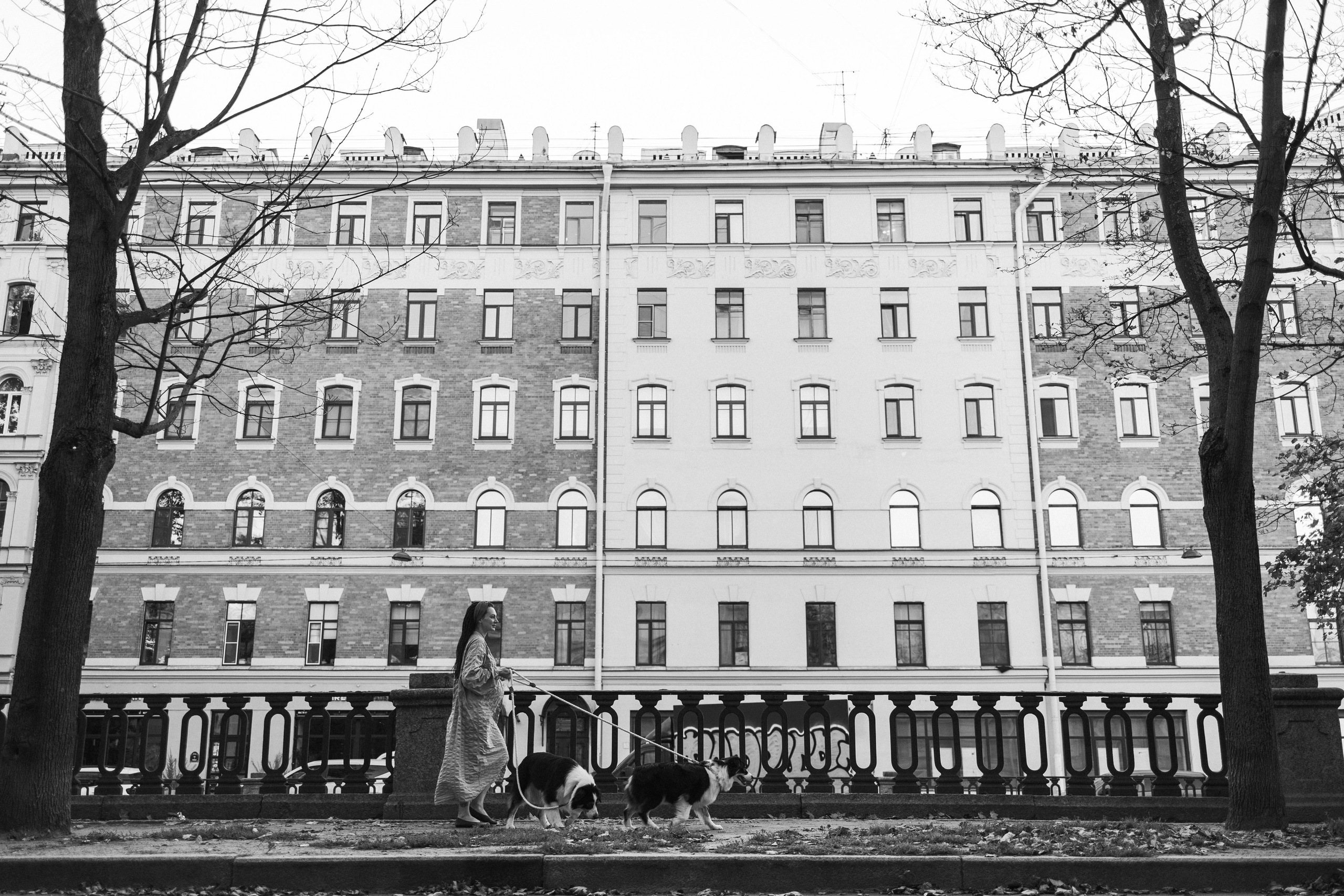 Катя и ее девочки. Фотограф — Анималист | Санкт-Петербург