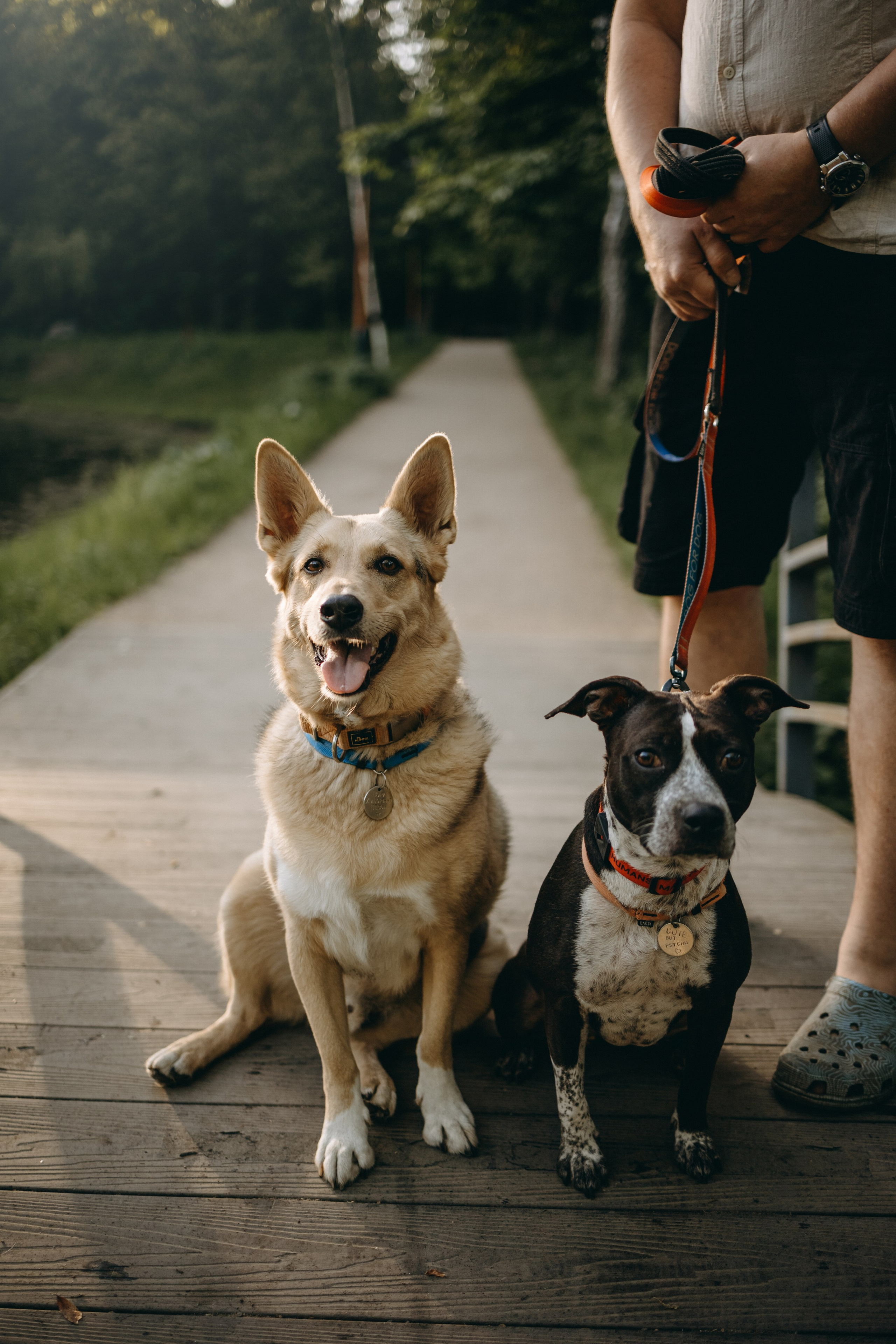 Татьяна, Сергей и их Булочка и Пончик. Фотограф — Анималист | Санкт-Петербург