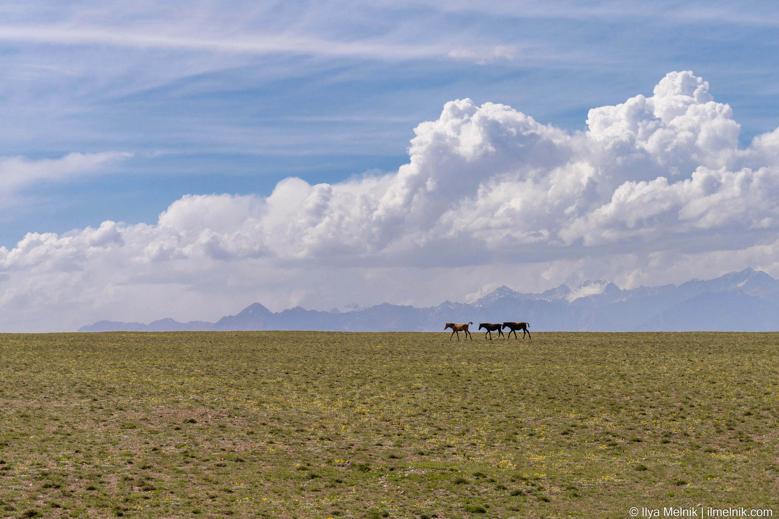 Kyrgyzstan. Ilya Melnik Photography